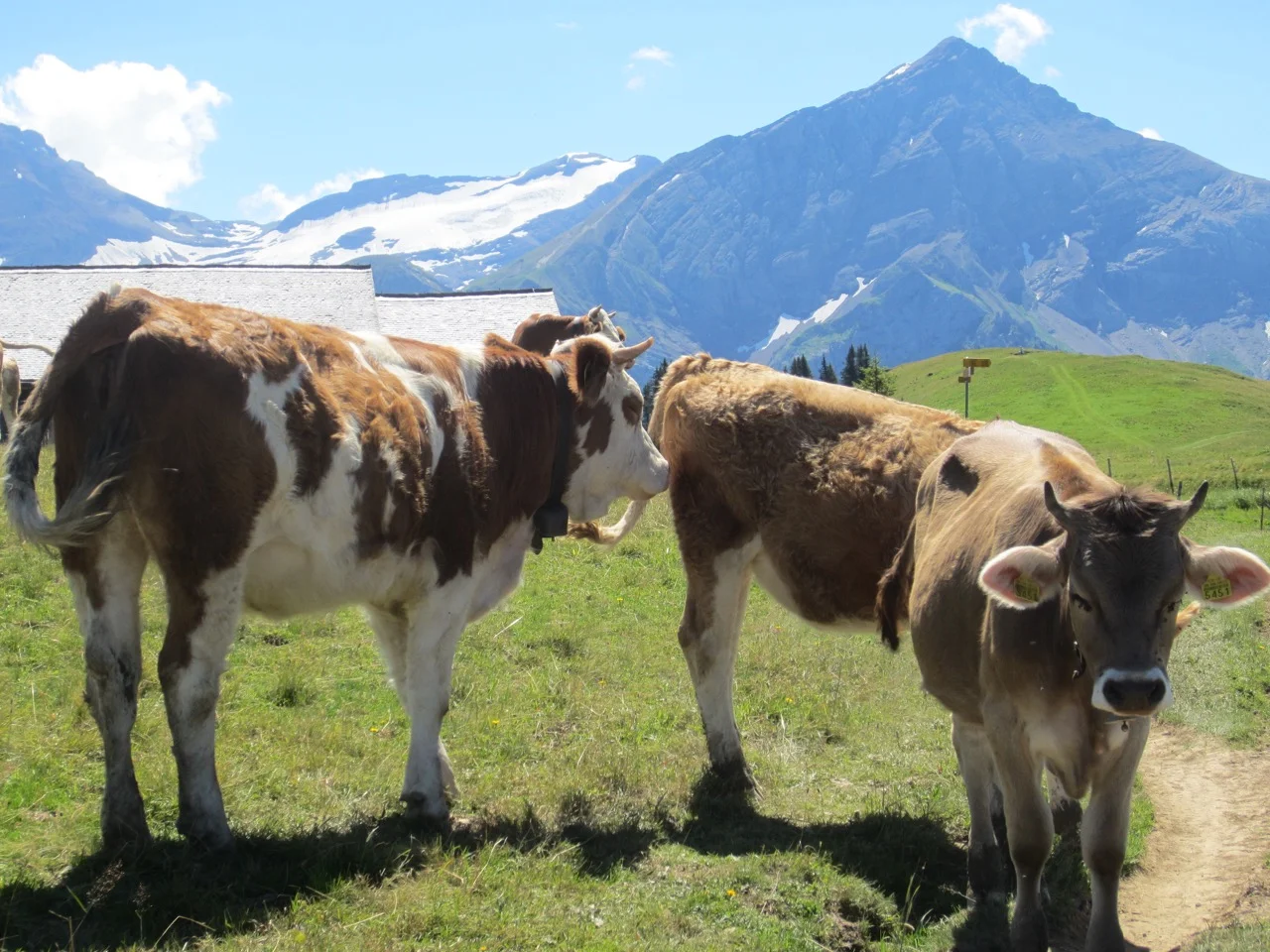 2013-08-15 12.13.23.jpg