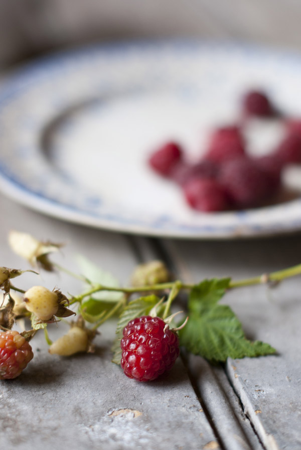 Garden Raspberries