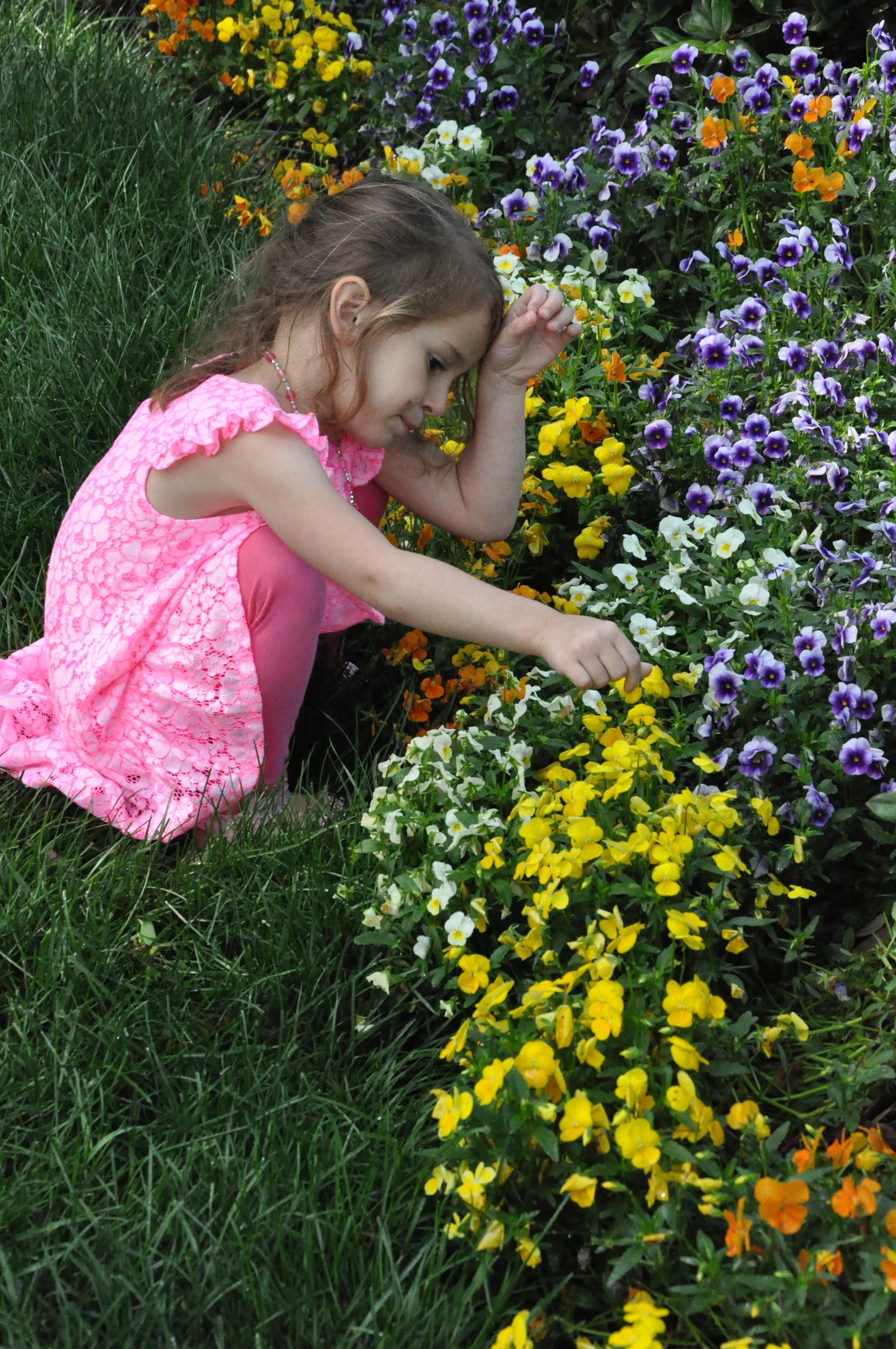 2014.5.10GibbsGarden45 029.JPG