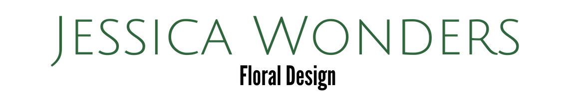 ENDO WONDERS (4).png