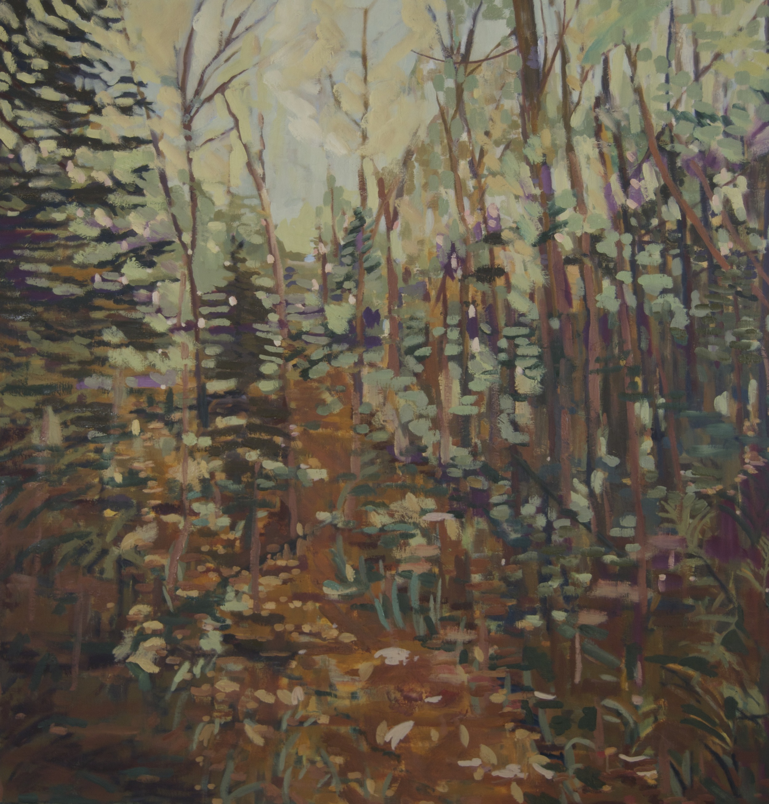Fall Woods