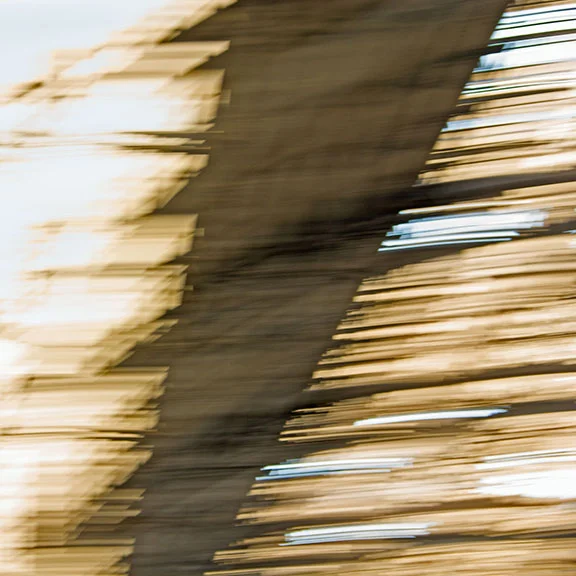 Estacio de Sants (Barcelona) Train Station #2