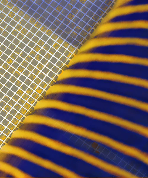 Blue & Gold Grid (2015)