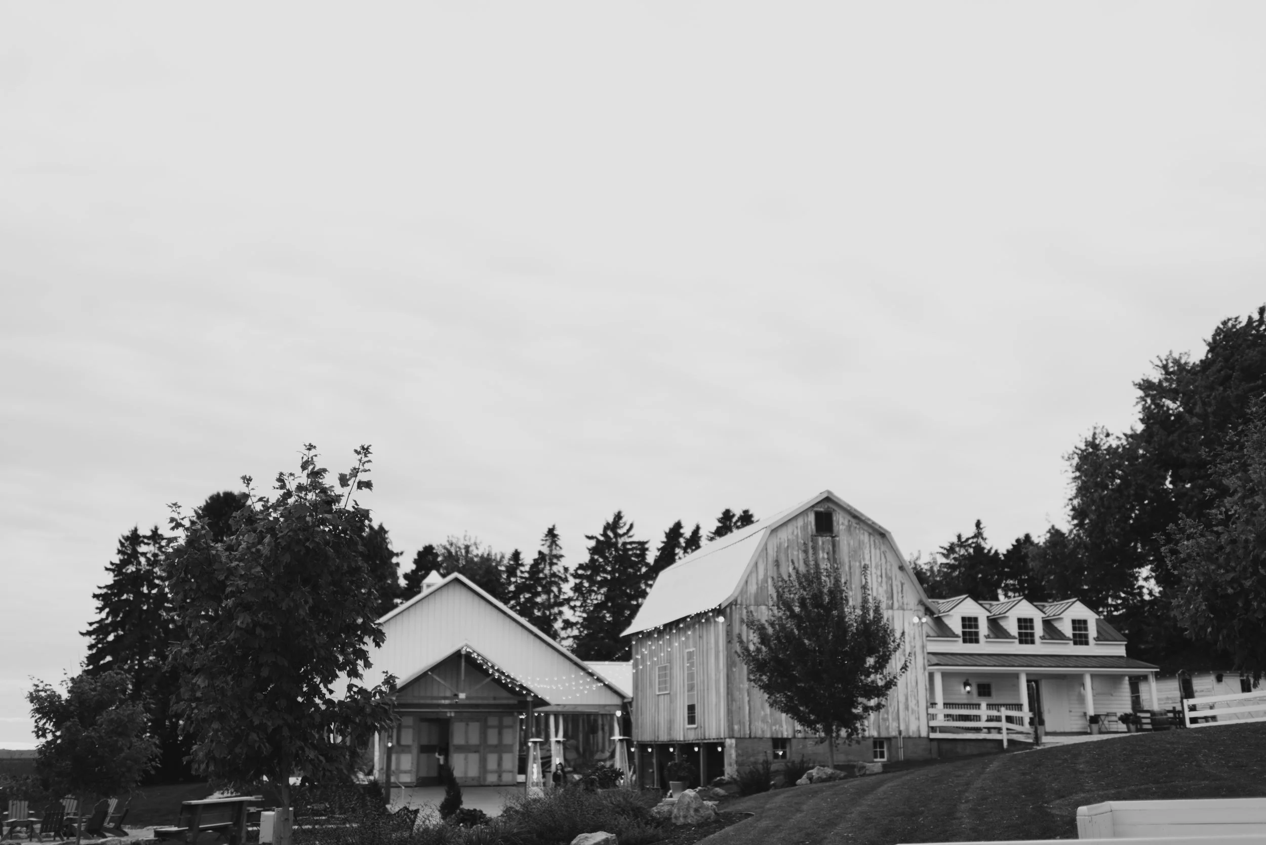 DSC_5665.jpg