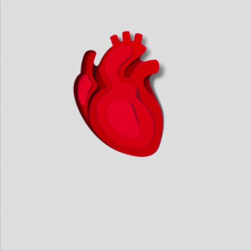 nyp-cardiac-500x500.gif