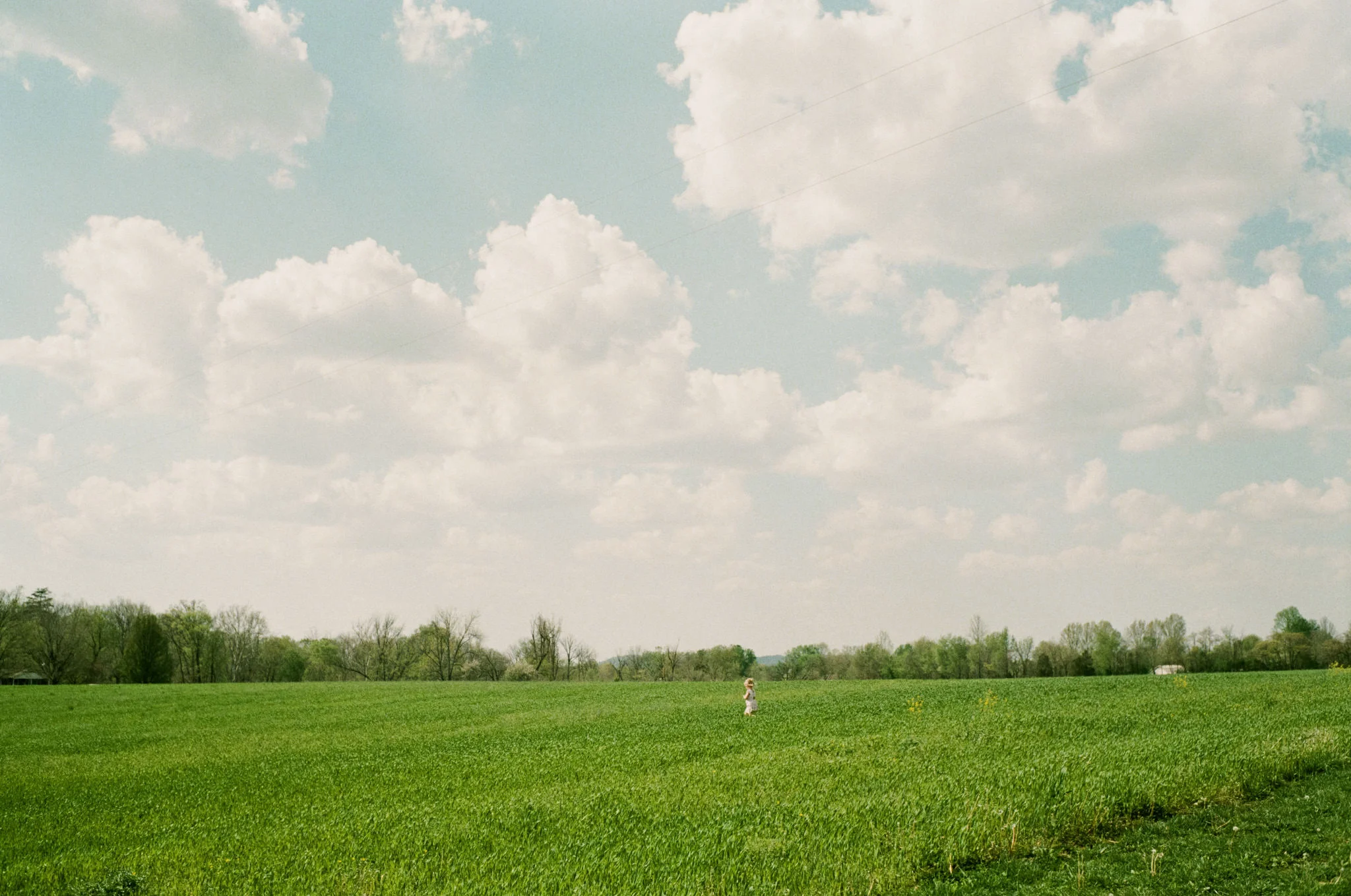 Landscape image of little girl in field taken with Leica m2 and Voigtlander 35mm f/1.4 Nokton Classic