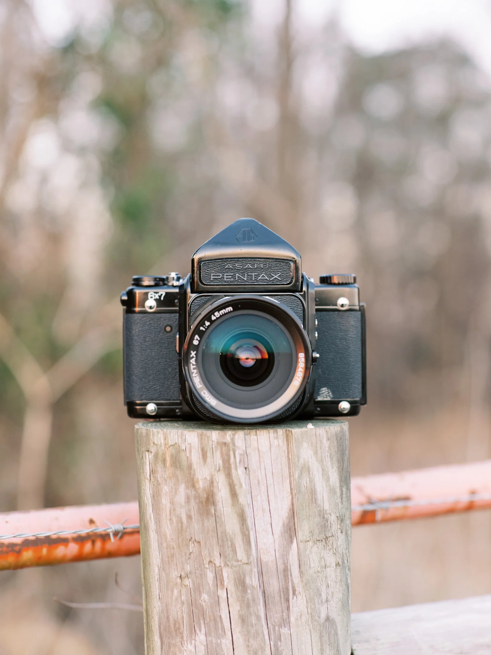 Pentax 67 Review-2.jpg