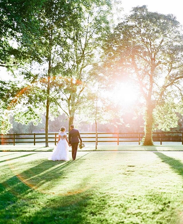 🌞 Taken at the lovely @polobarn on a magical wedding day designed by the talented @bitbybitevents! 
We love making images that are &ldquo;framed print&rdquo; worthy. We specifically export our bride&rsquo;s and groom&rsquo;s galleries for optimum pr