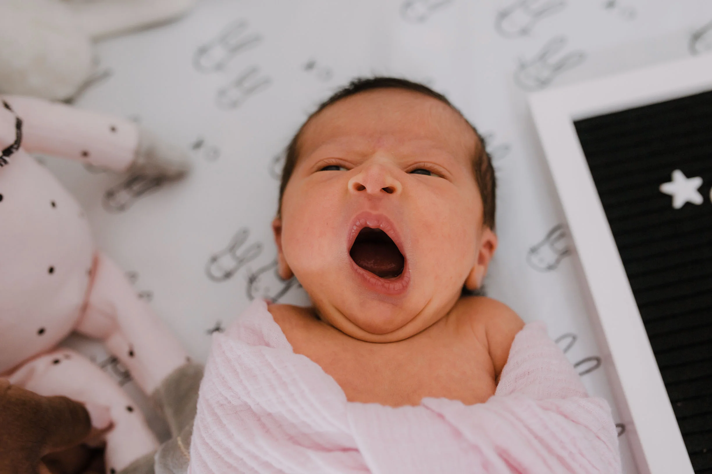zabelle newborn-48.jpg