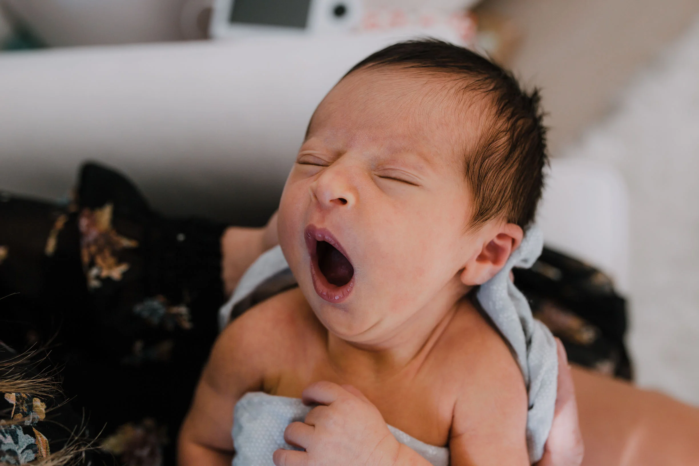 zabelle newborn-142.jpg
