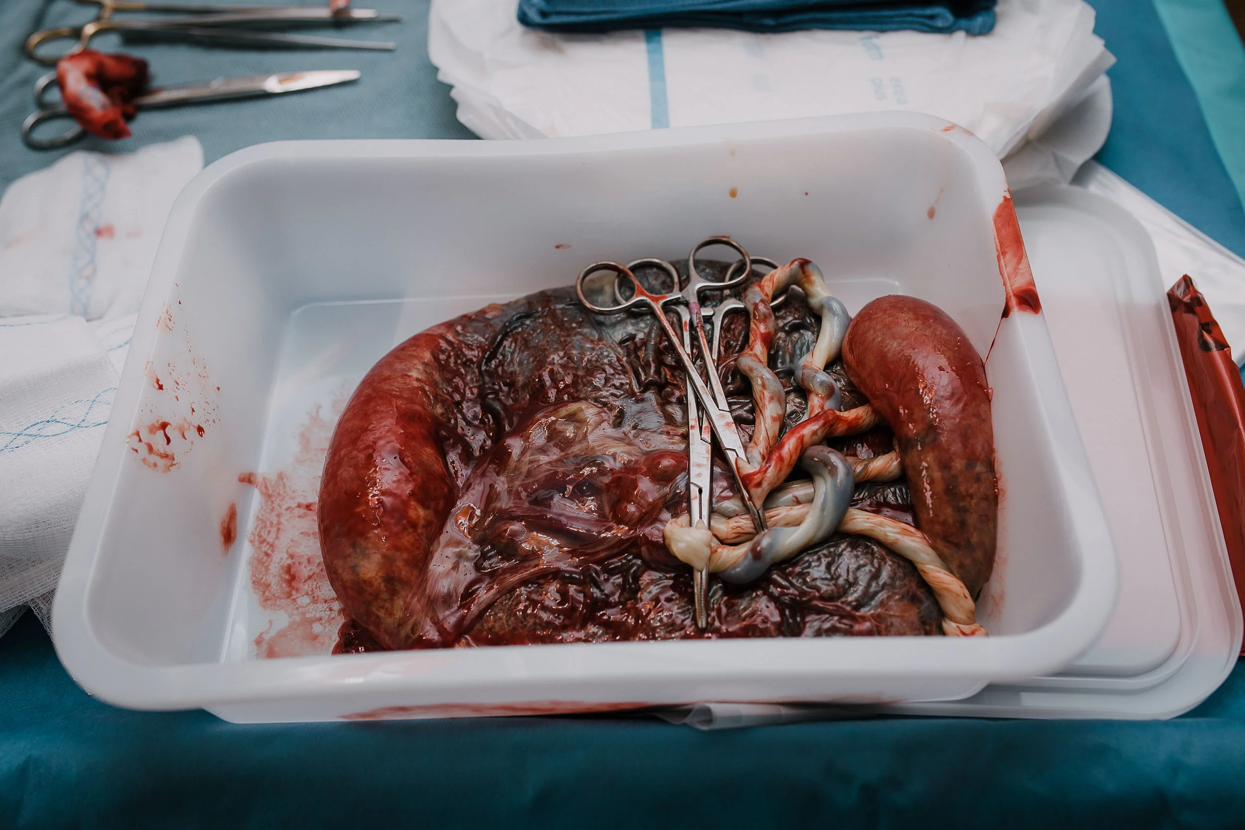 birth of opal juniper-91.jpg