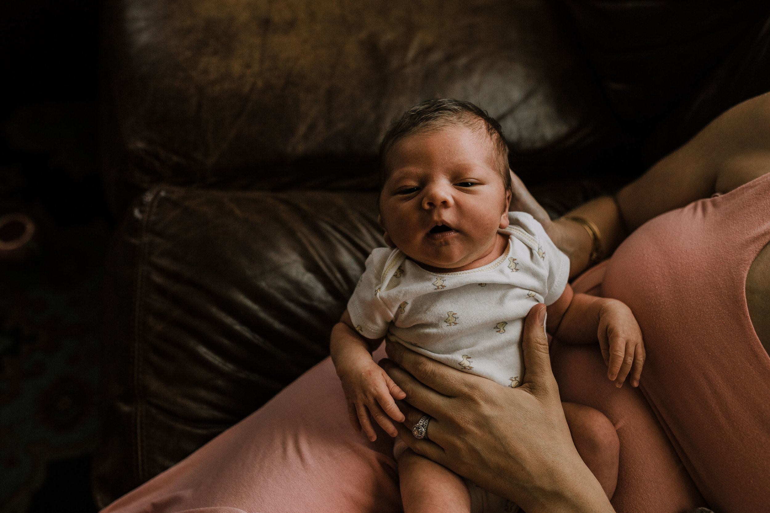 beatrice newborn 1-18.jpg