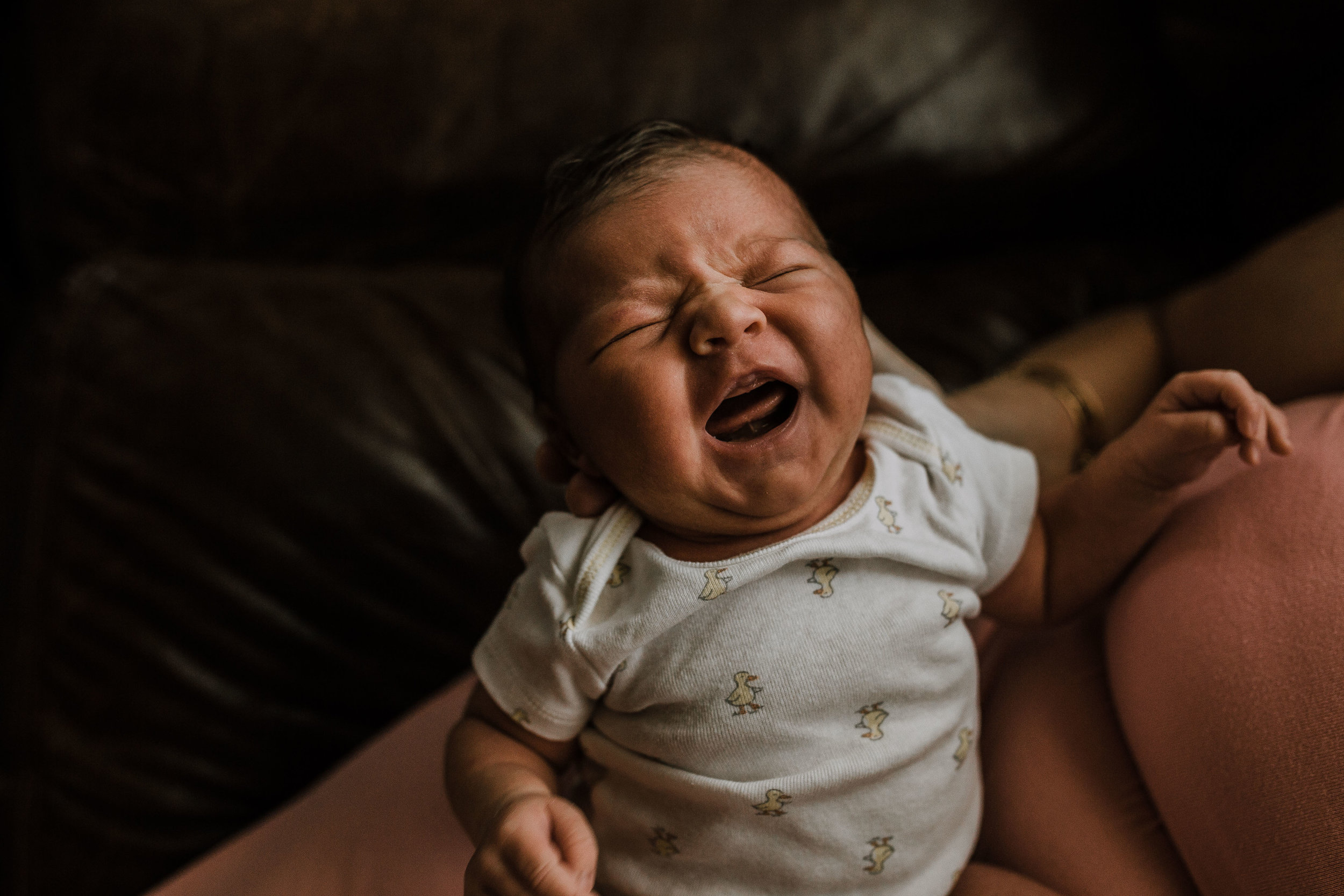 beatrice newborn 1-19.jpg