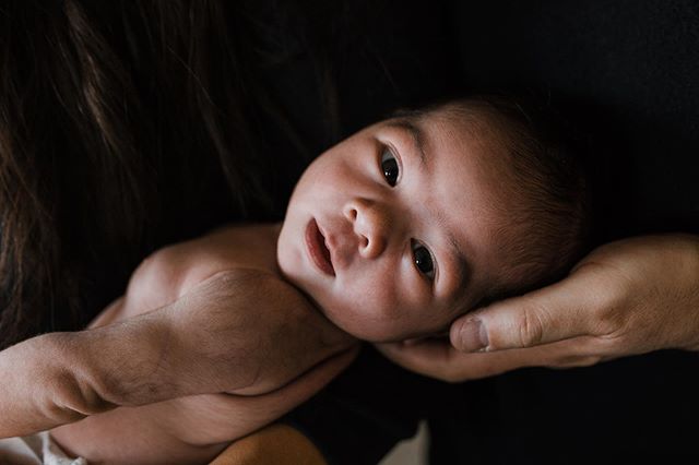 time is a tree (this life one leaf)
but love is the sky and i am for you
just so long and long enough
E. E. Cummings

Little Plum Photography | Los Angeles 
#newbornphotography #lookslikefilmkids #clickinmoms #losangelesphotographer #love #poetry #ne
