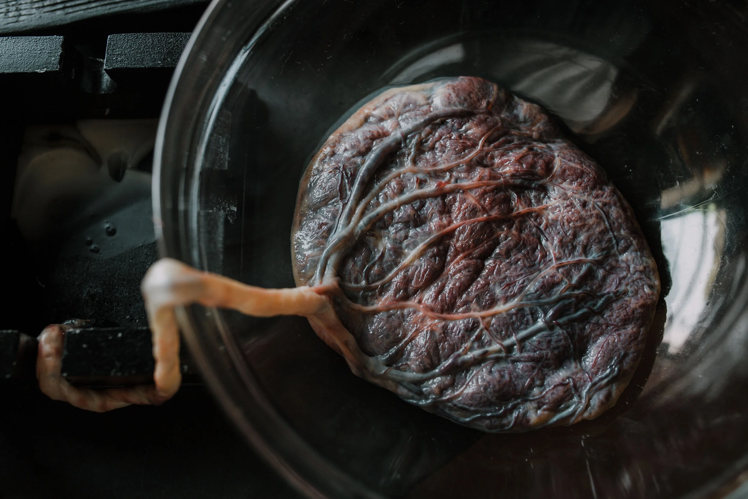 bre birth final_-216.jpg