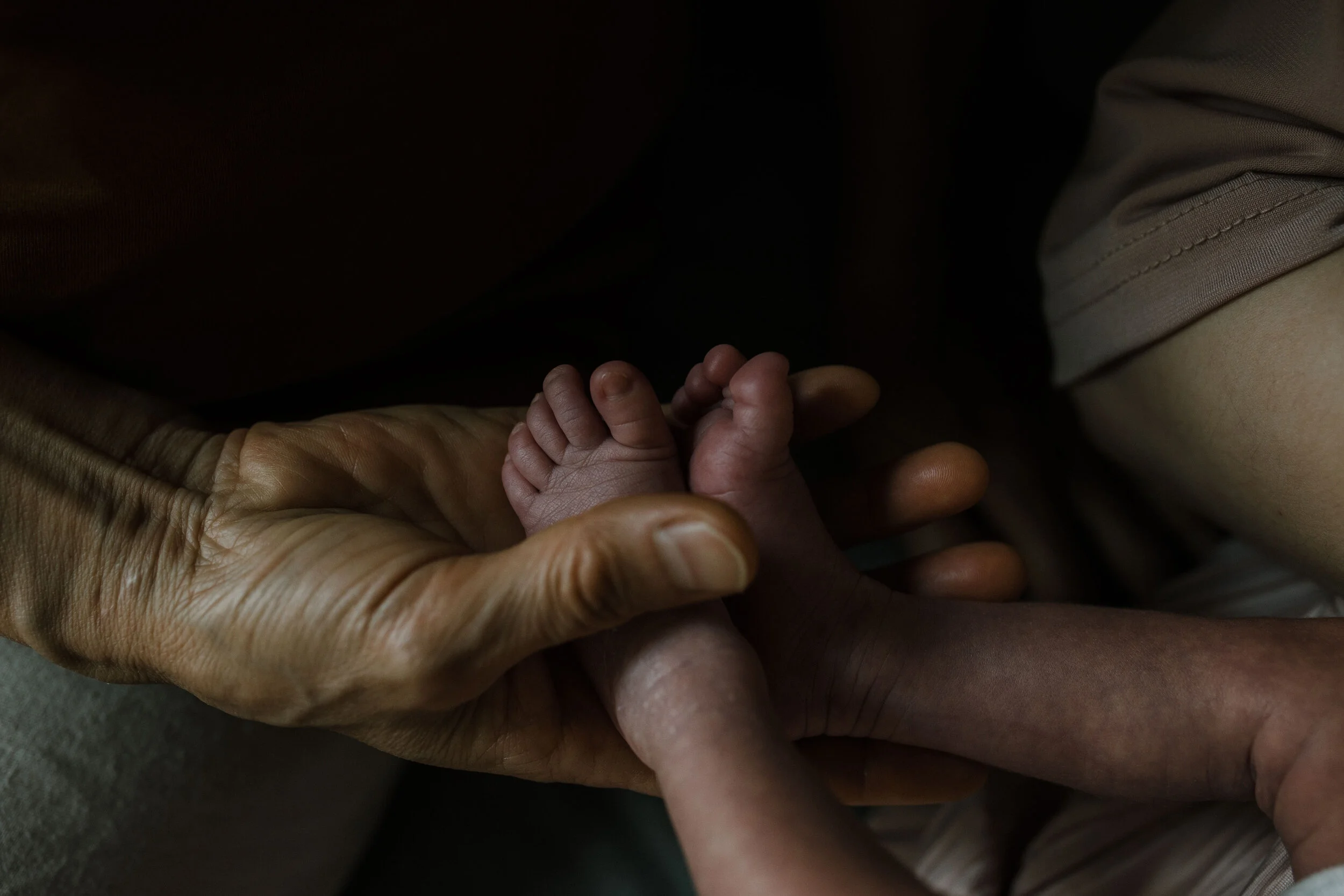 leon newborn final-32.jpg