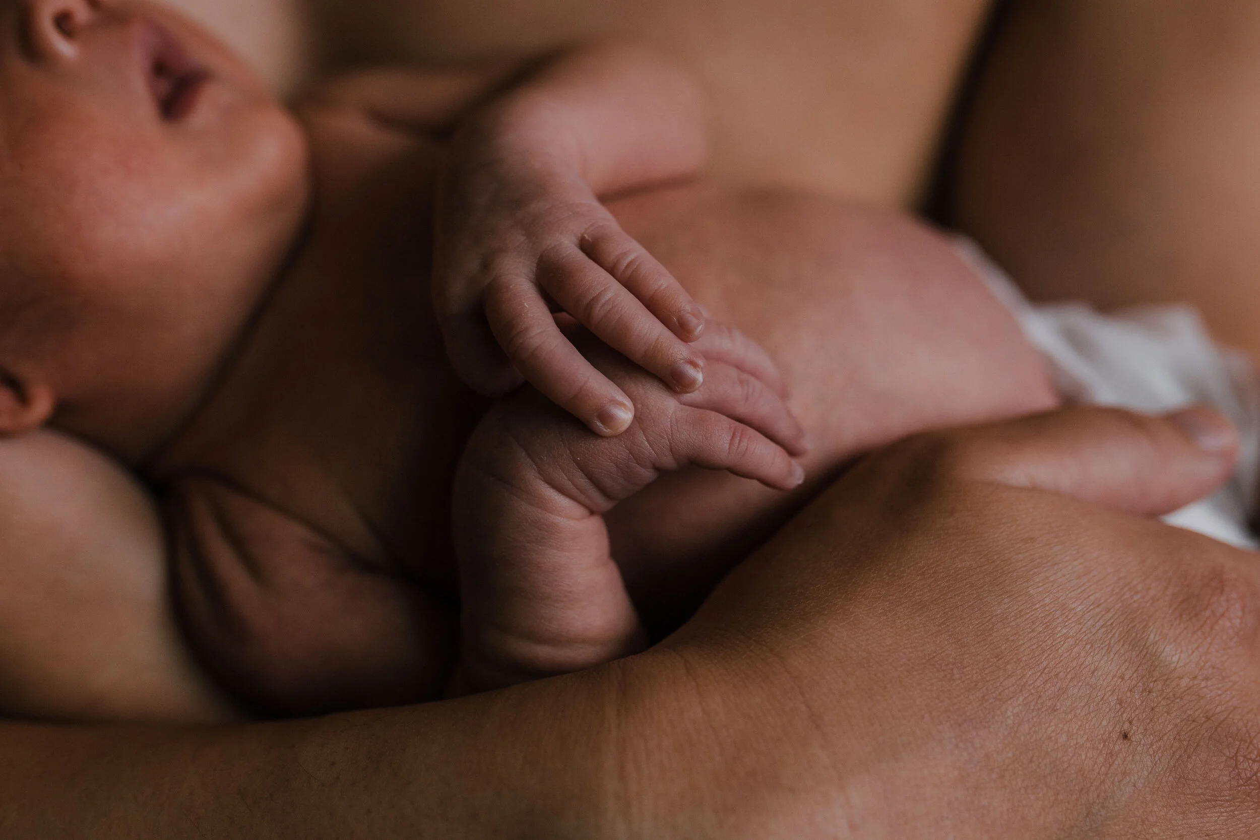 leon newborn final-180.jpg