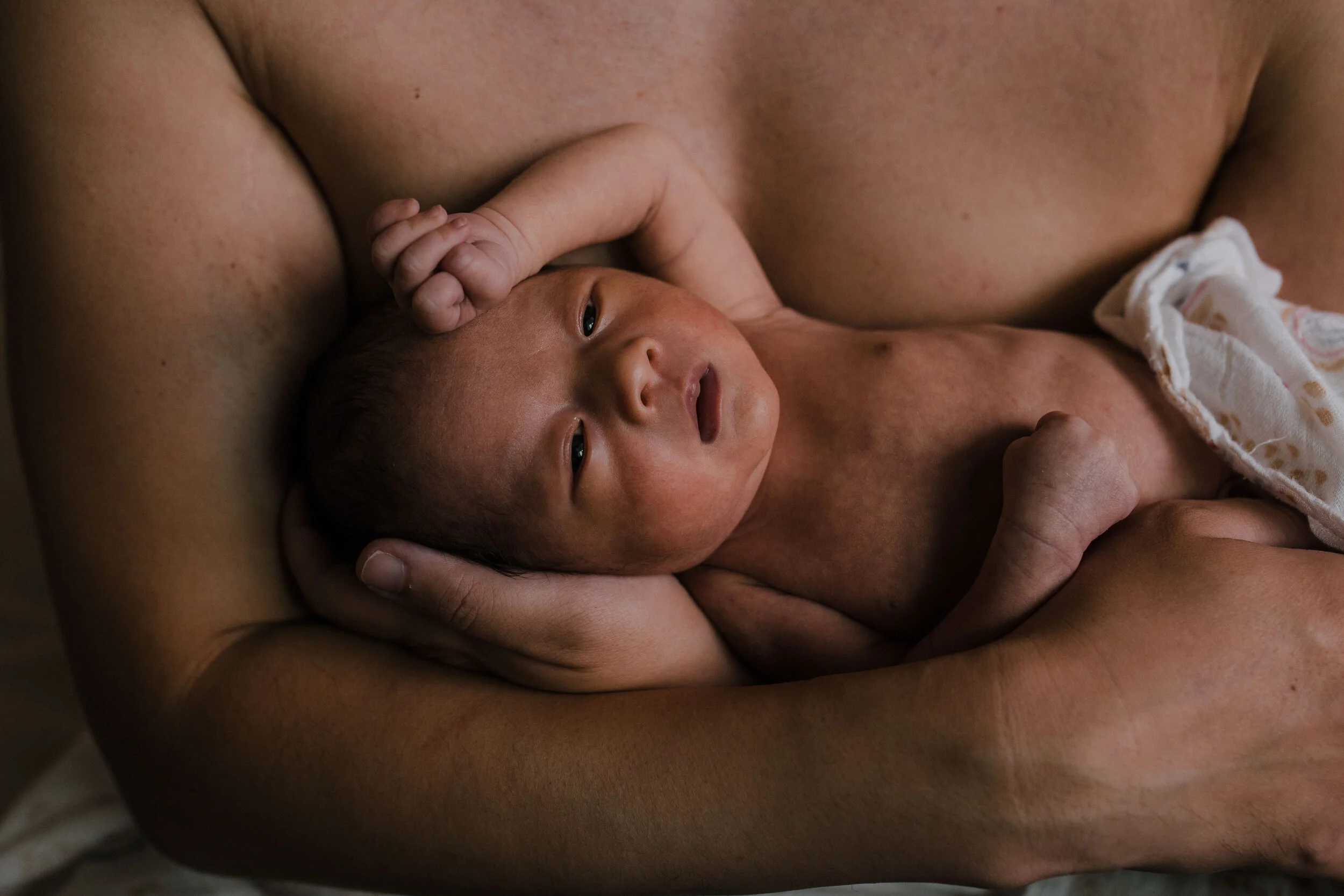 leon newborn final-188.jpg