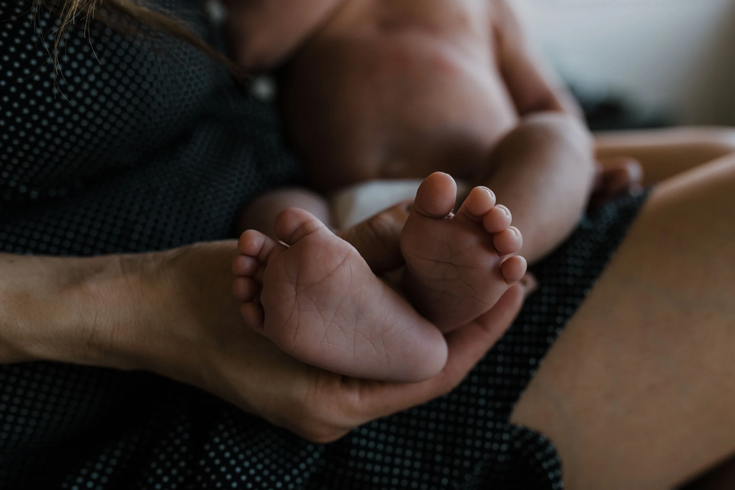 carter newborn final-239.jpg