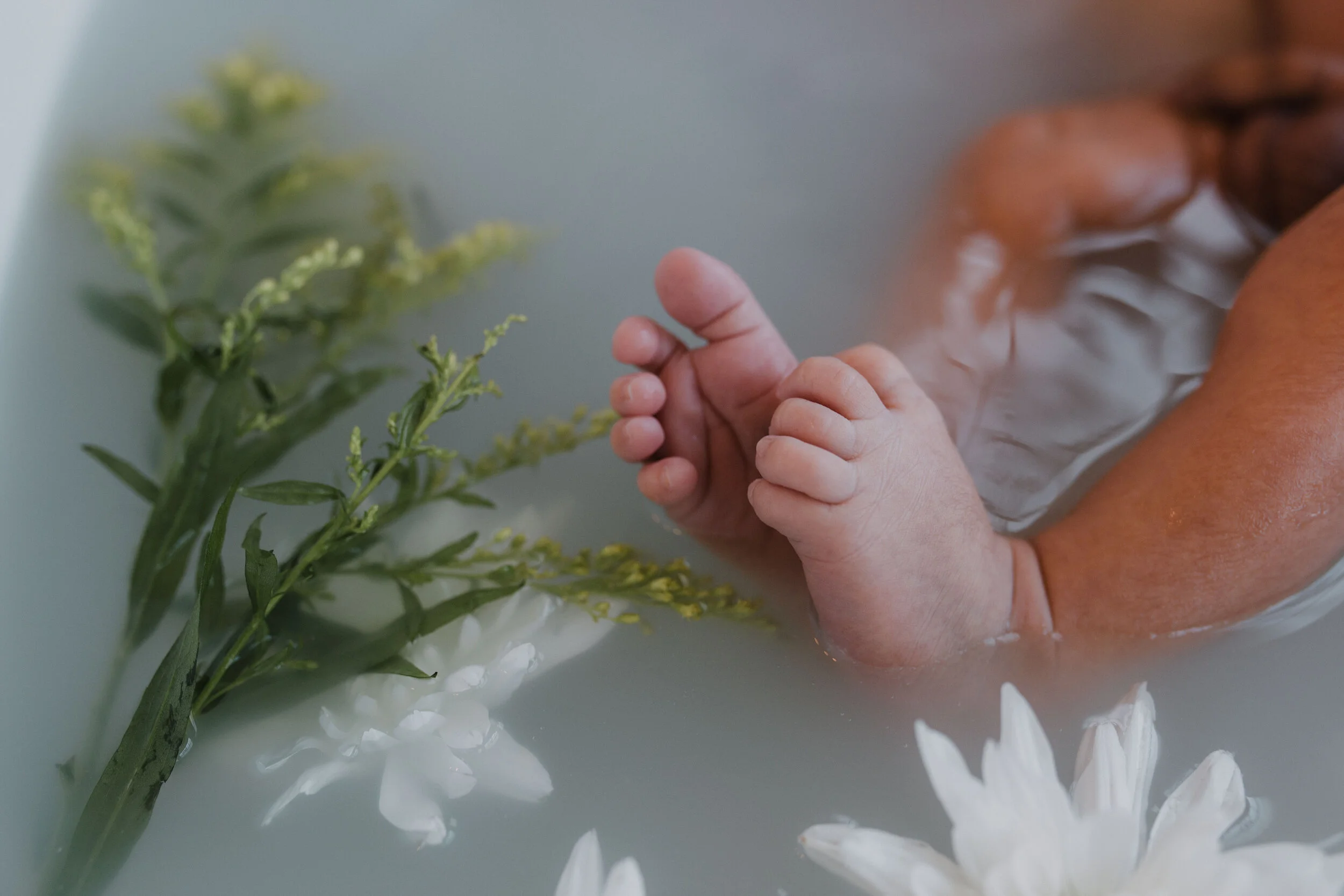 brooks newborn final-77.jpg