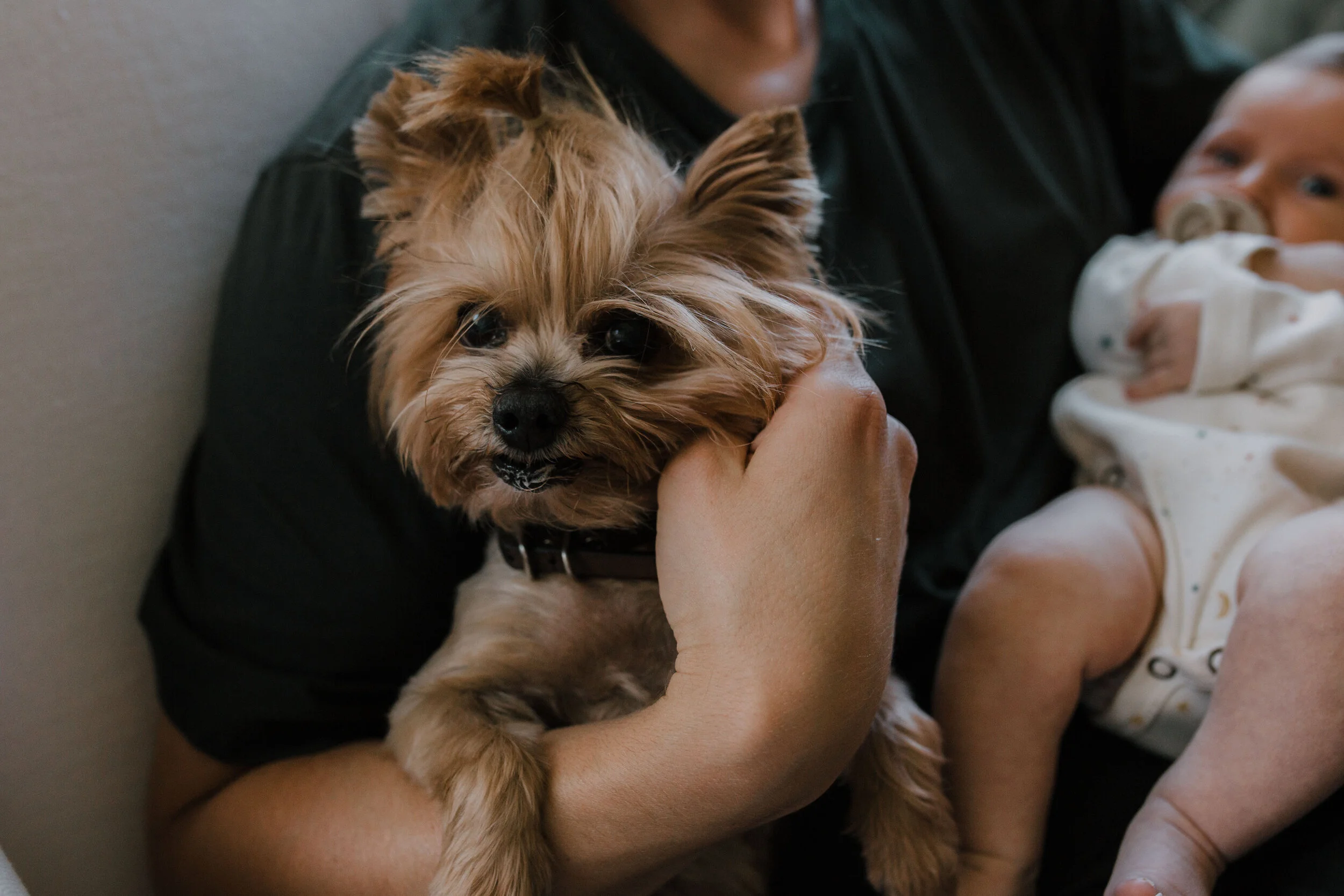 kara rus newborn-121.jpg