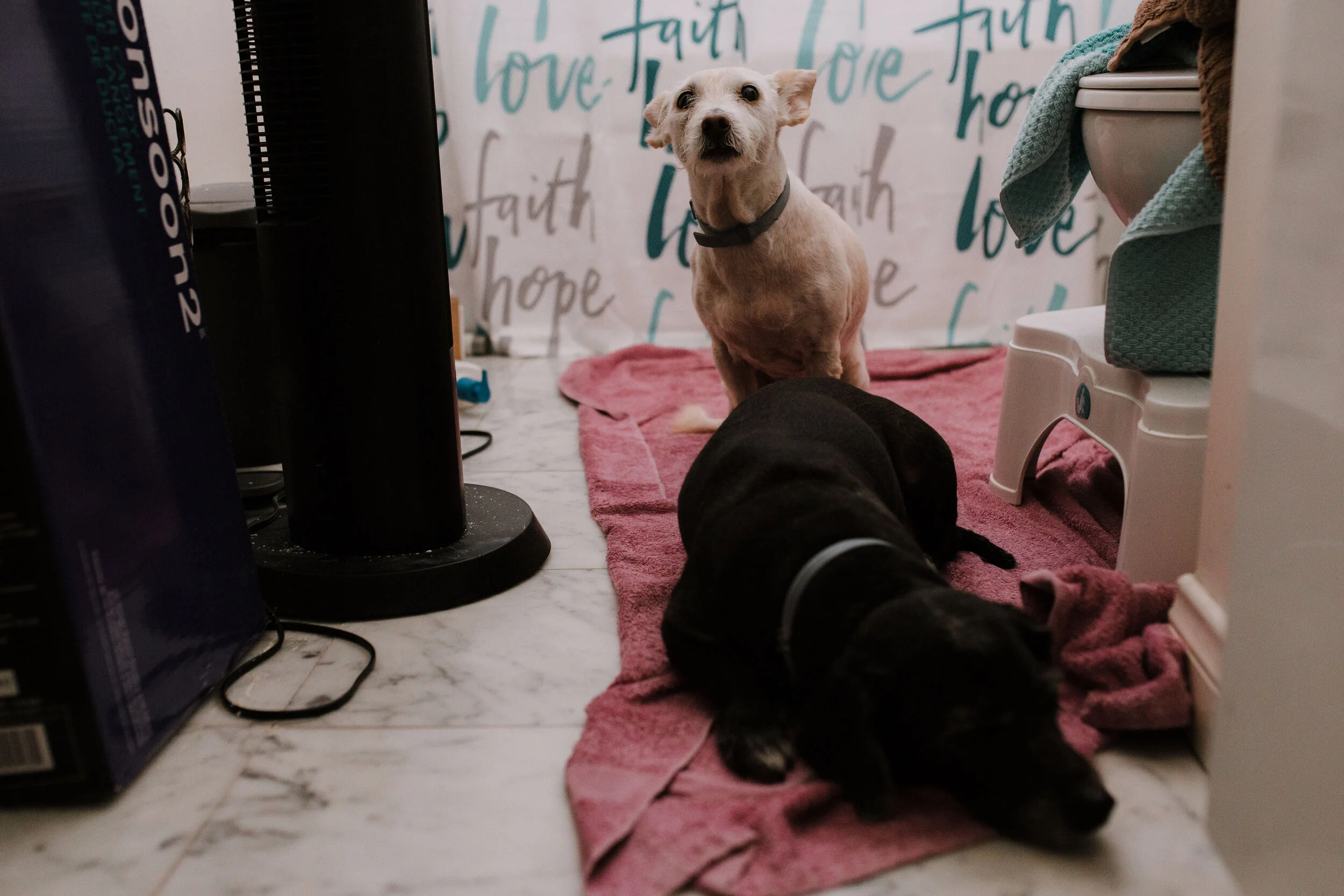 rosy birth story final-22.jpg