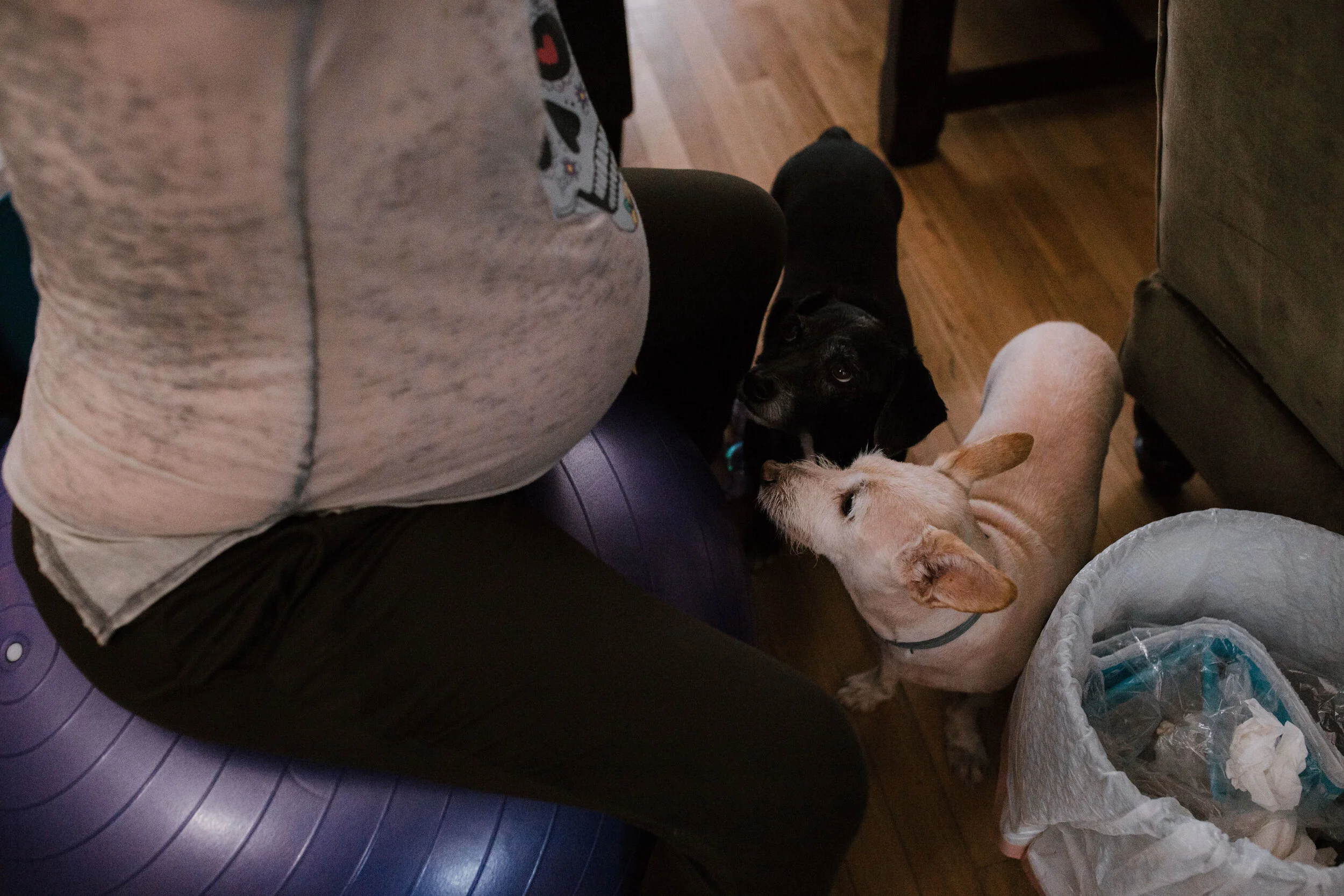 rosy birth story final-45.jpg