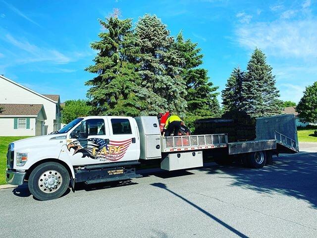 Everyday is something new! #toro #dingo #fordf650 #f650 #fordfleet #sod #landscaping