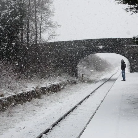 Waiting For The Next Train