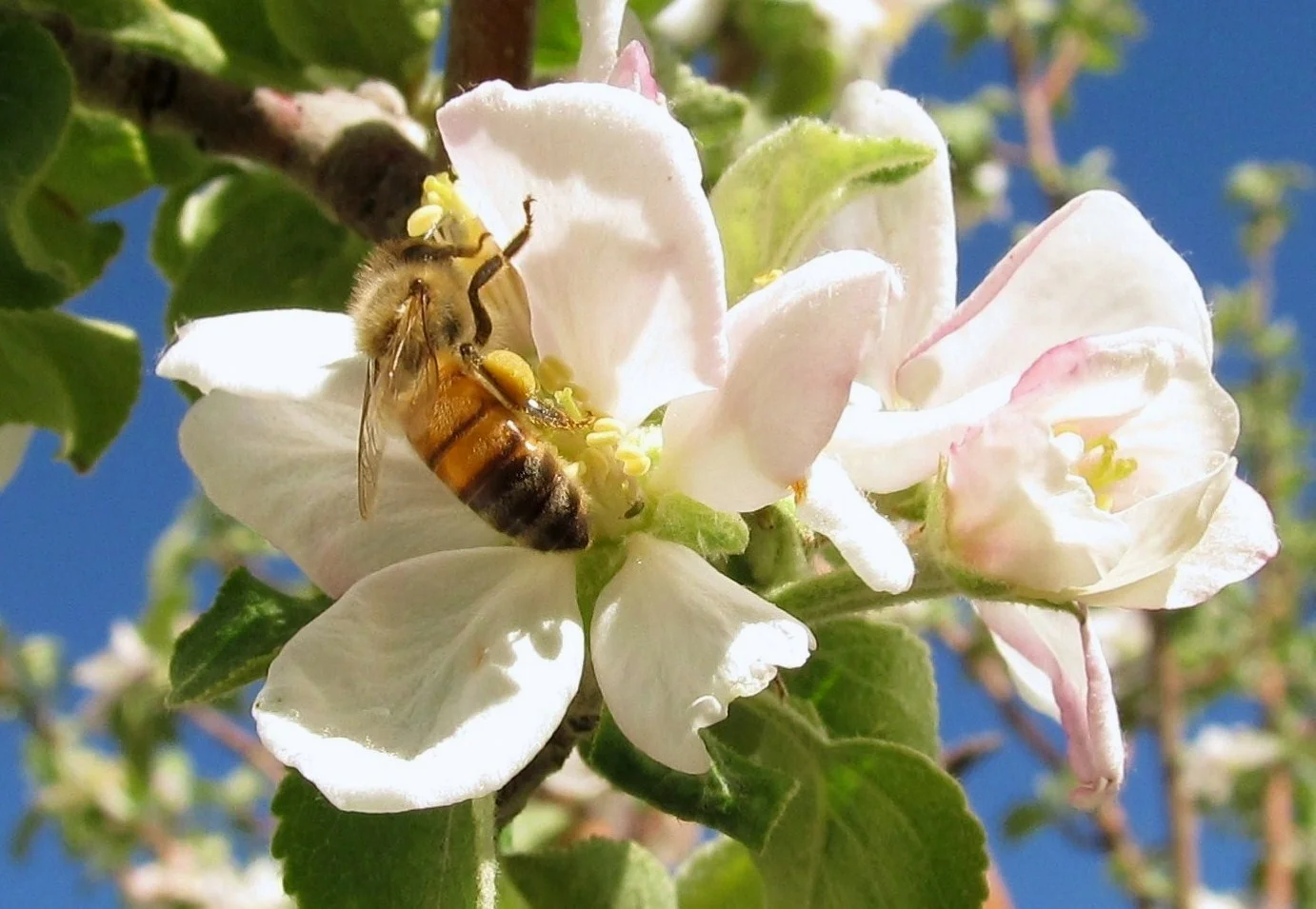 Cross-Pollination: Volatility & Options