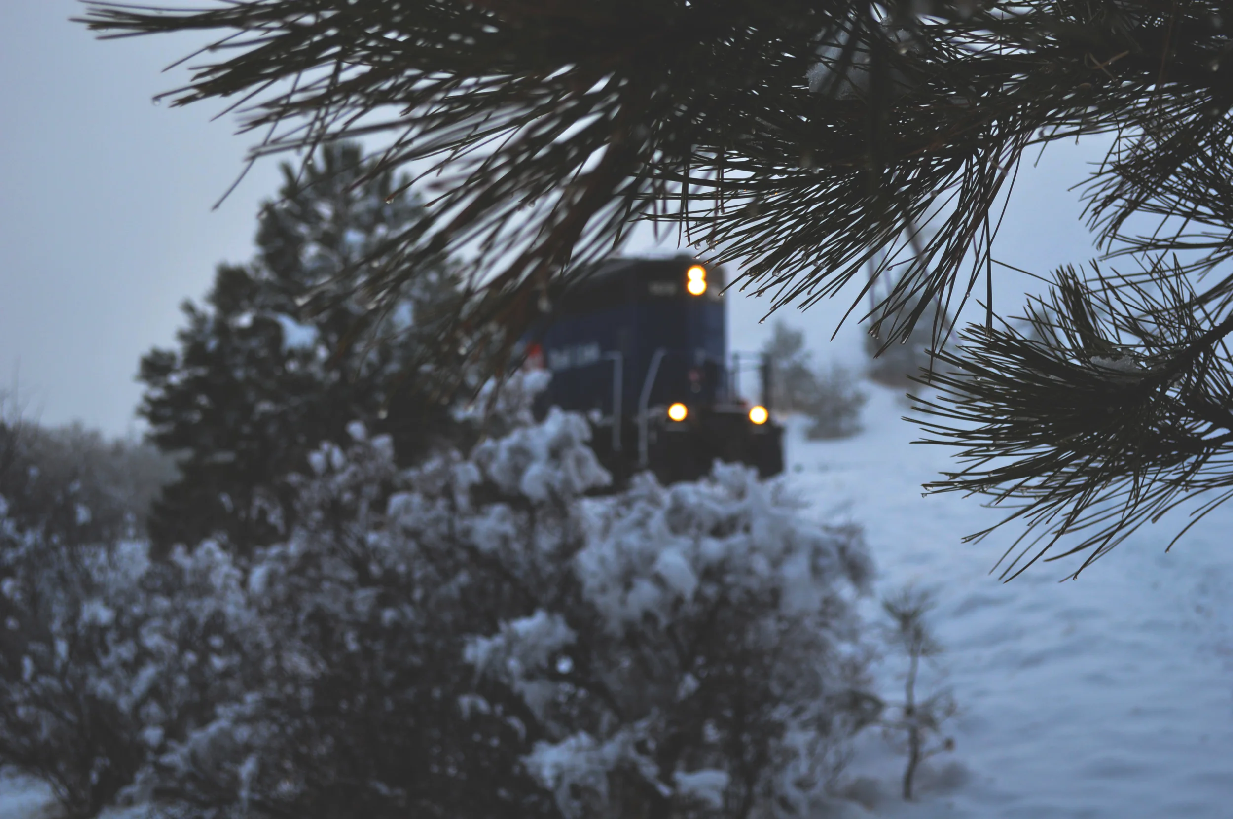 train.jpg