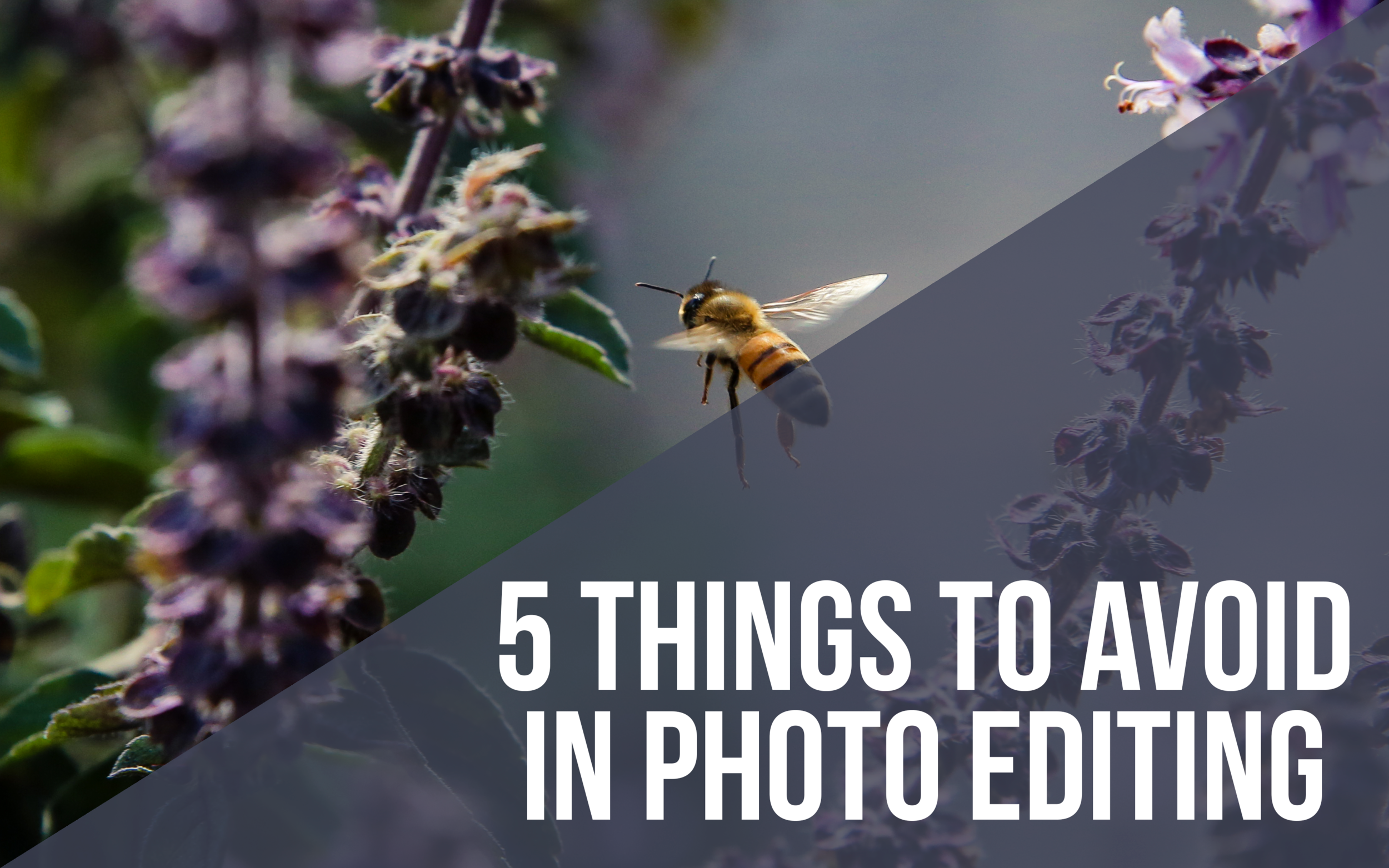 5 things to avoid when editing.png