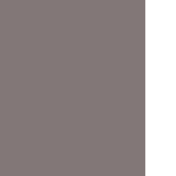 stylishportraits.gif