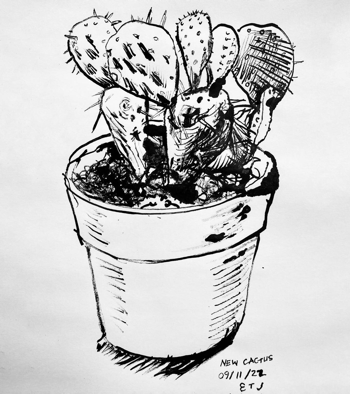 new cactus drawn w a stick

#sketch #sketchbook #ink #inkdrawing #sketchbook #cactus #succulents #priclypear
