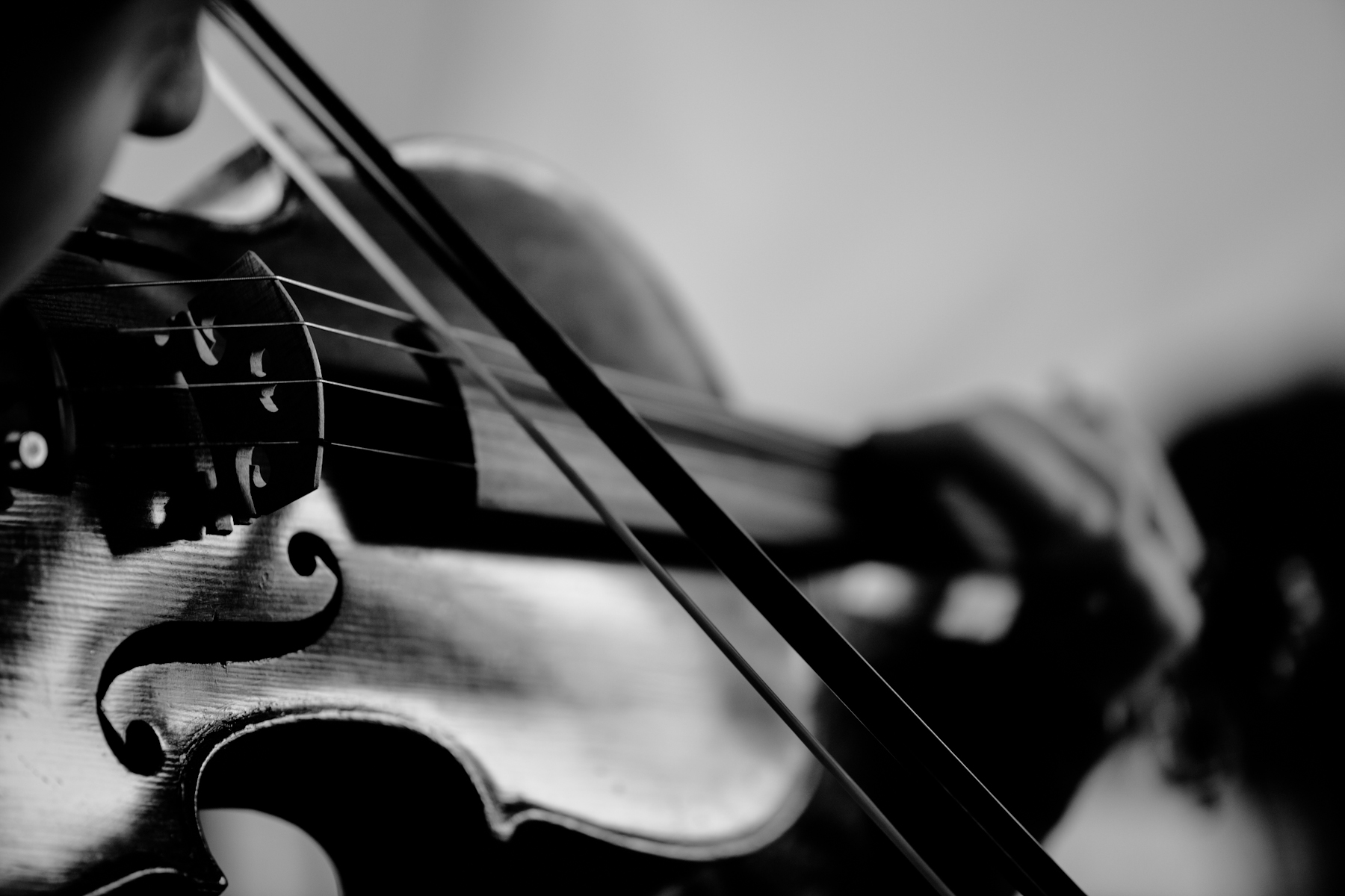 We were so lucky to get Portland violin virtuoso Annemarie Hoffman in the studio. Her emotional string swells had everyone in the engineering room in tears! 