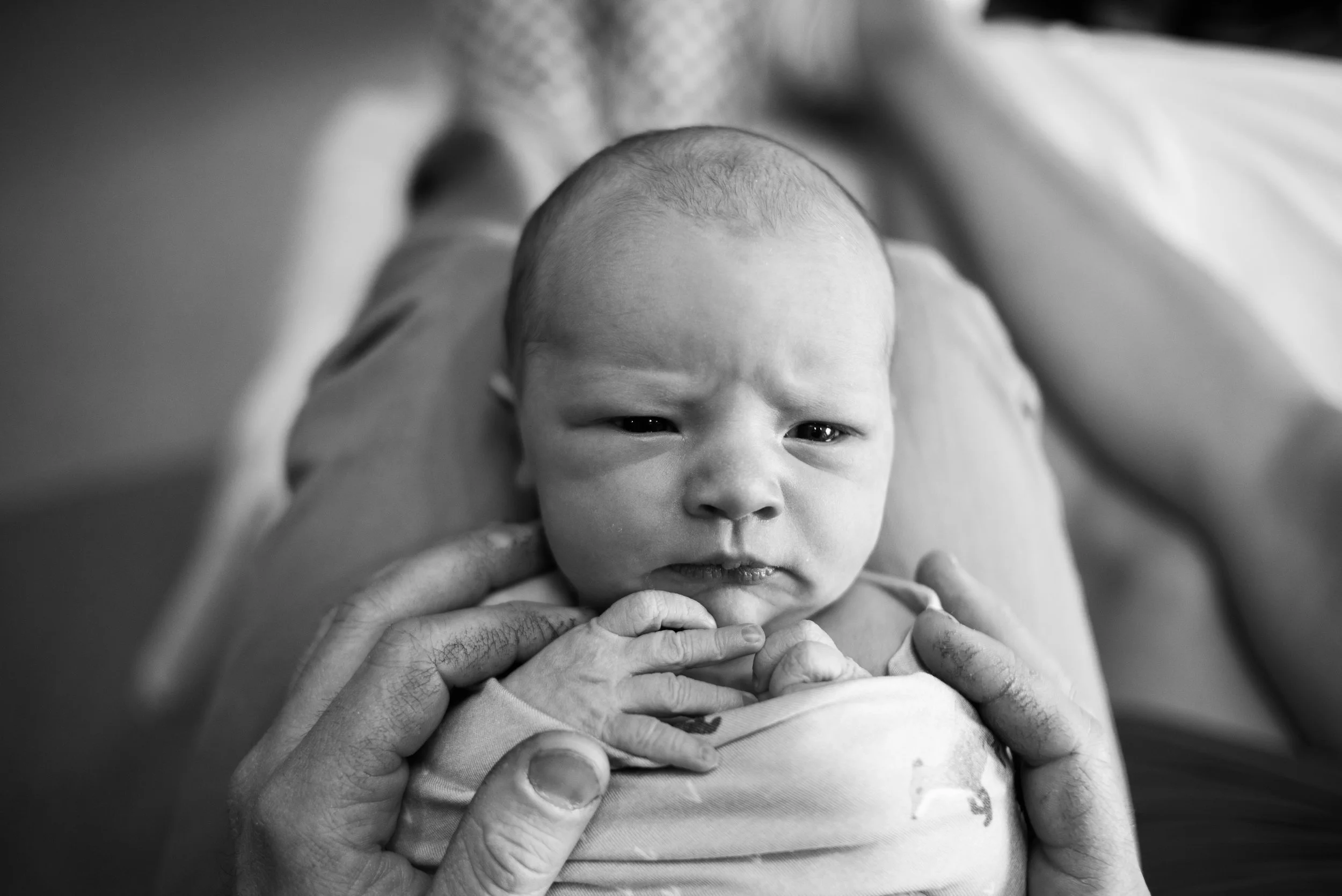 Brunmeiers Baby Hank Fresh 48-16.jpg
