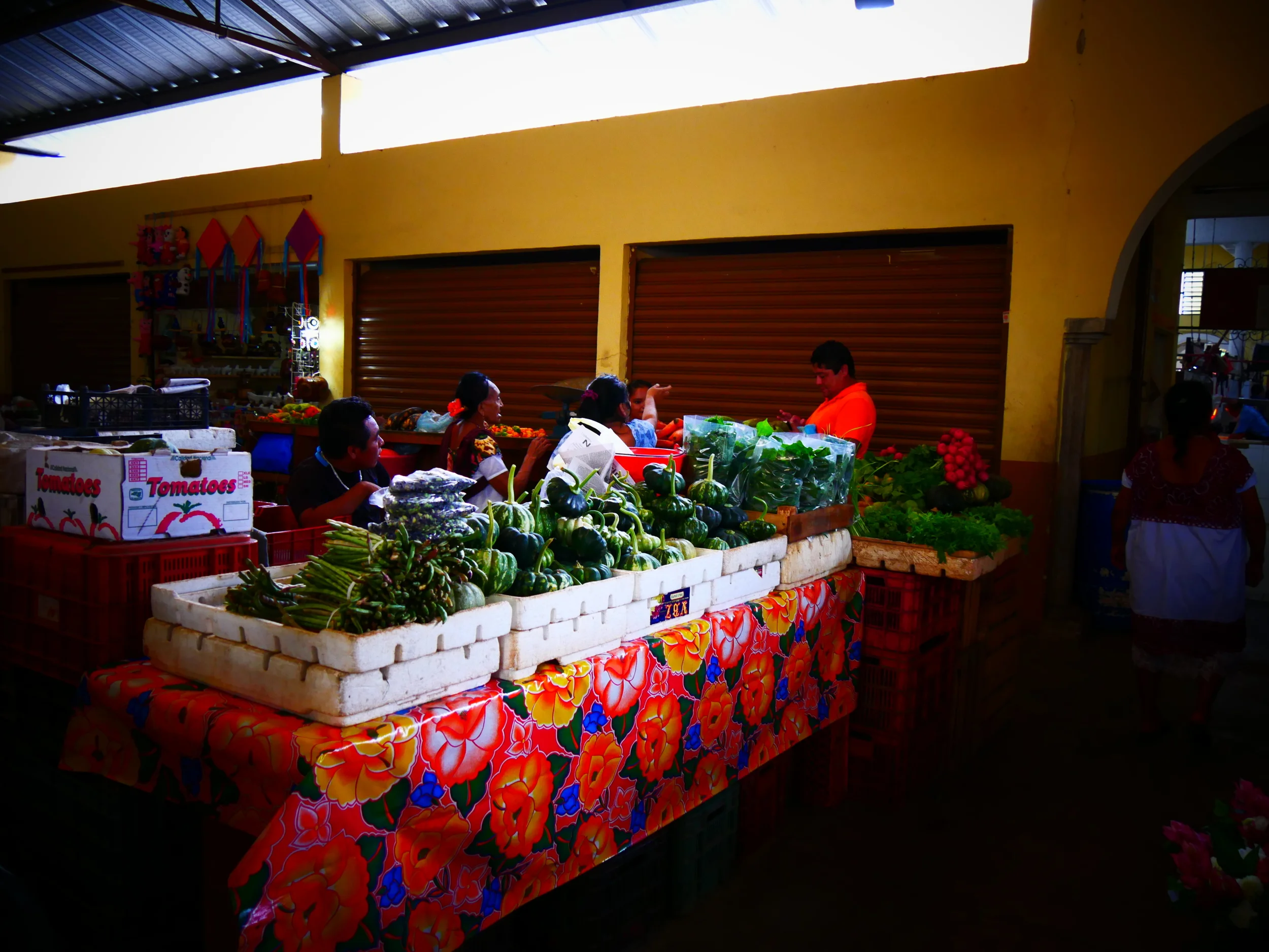 P1000286.JPG