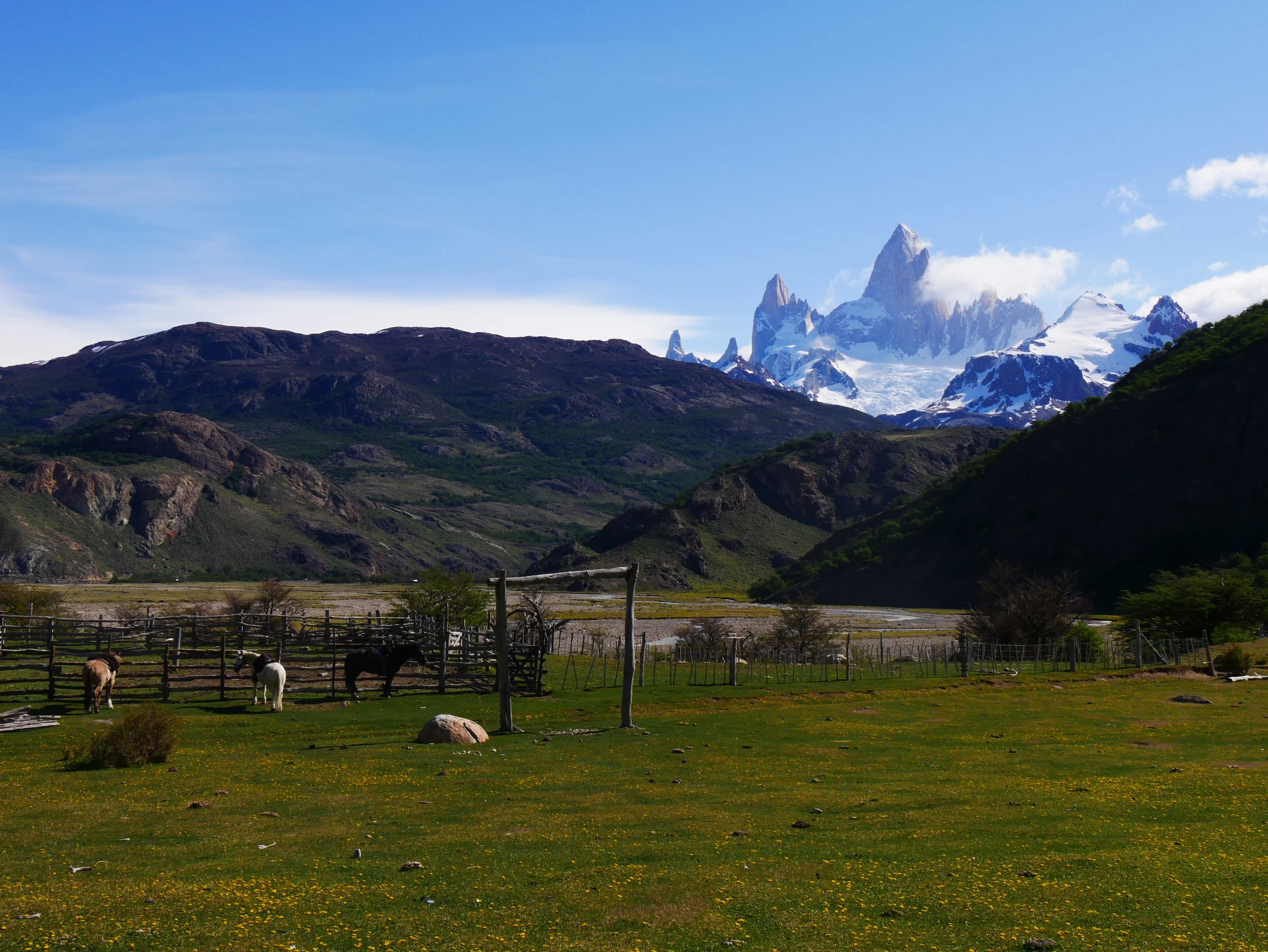 P1000551.JPG