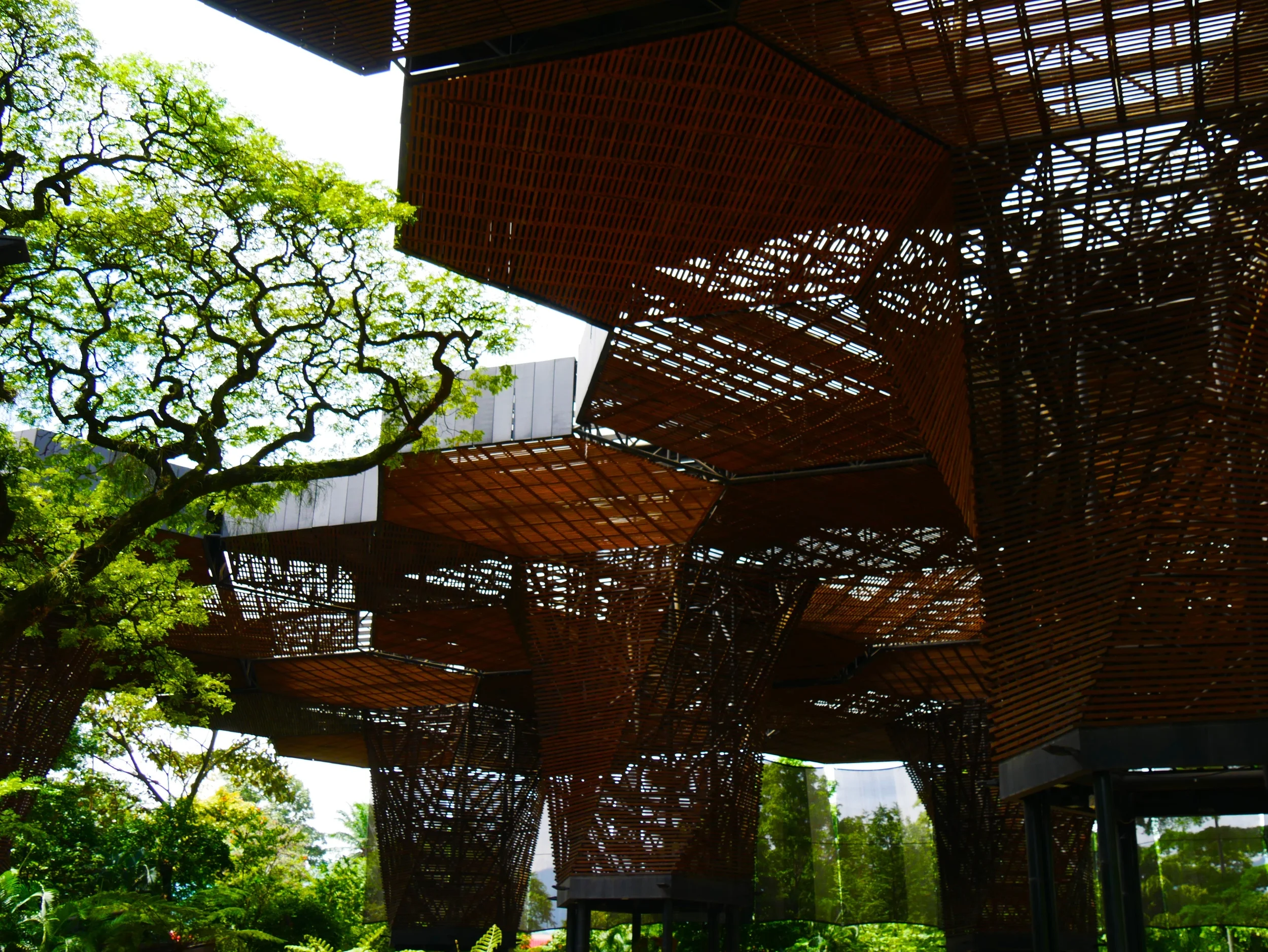 Medellin Botanic Gardens 