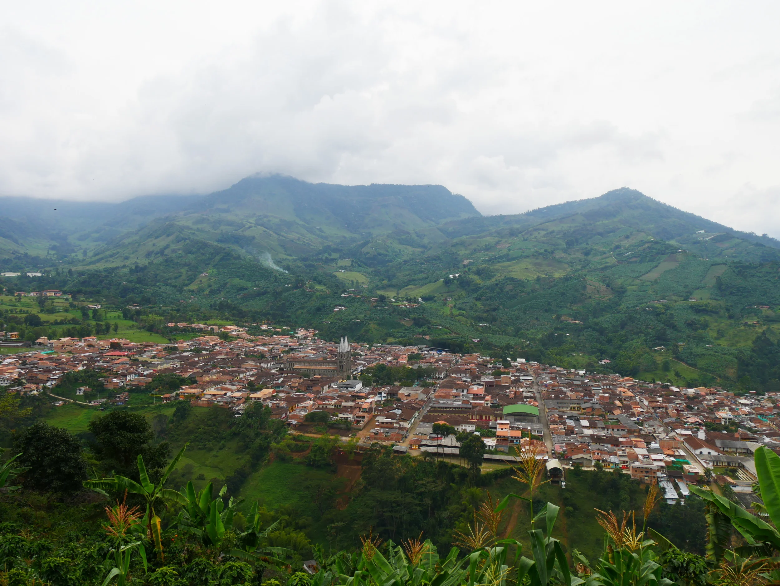 P1010567.JPG