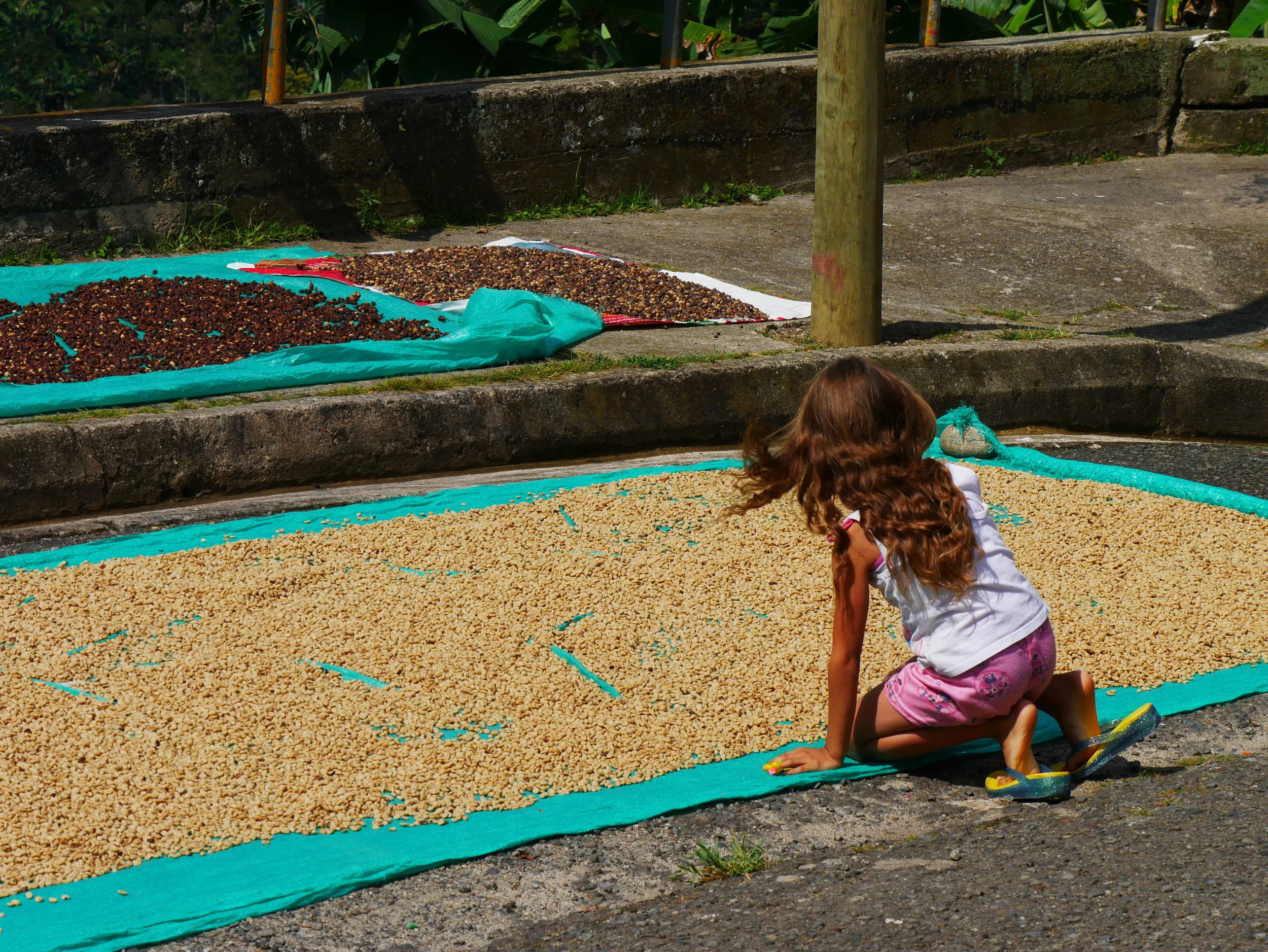 P1010665.JPG