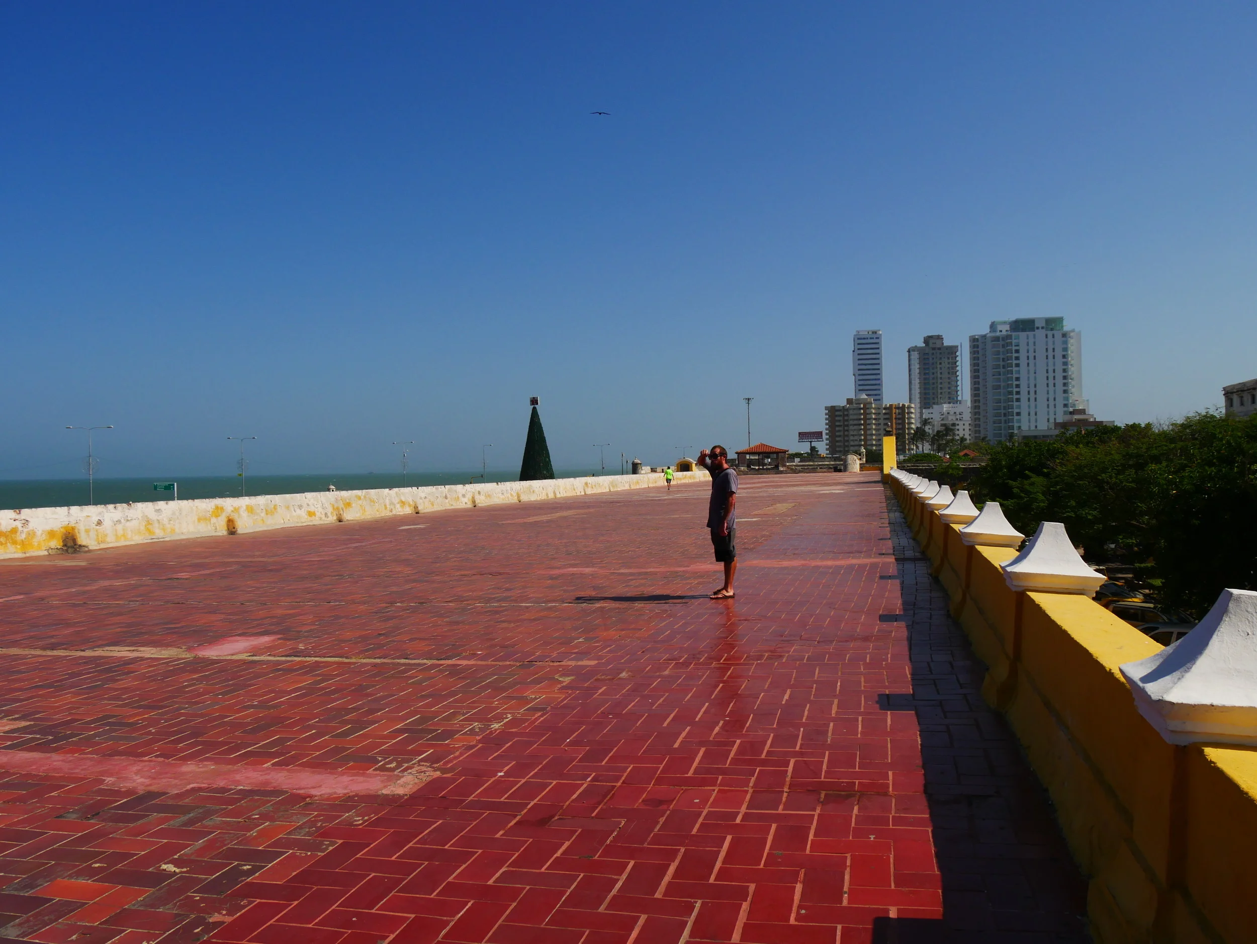 P1010794.JPG