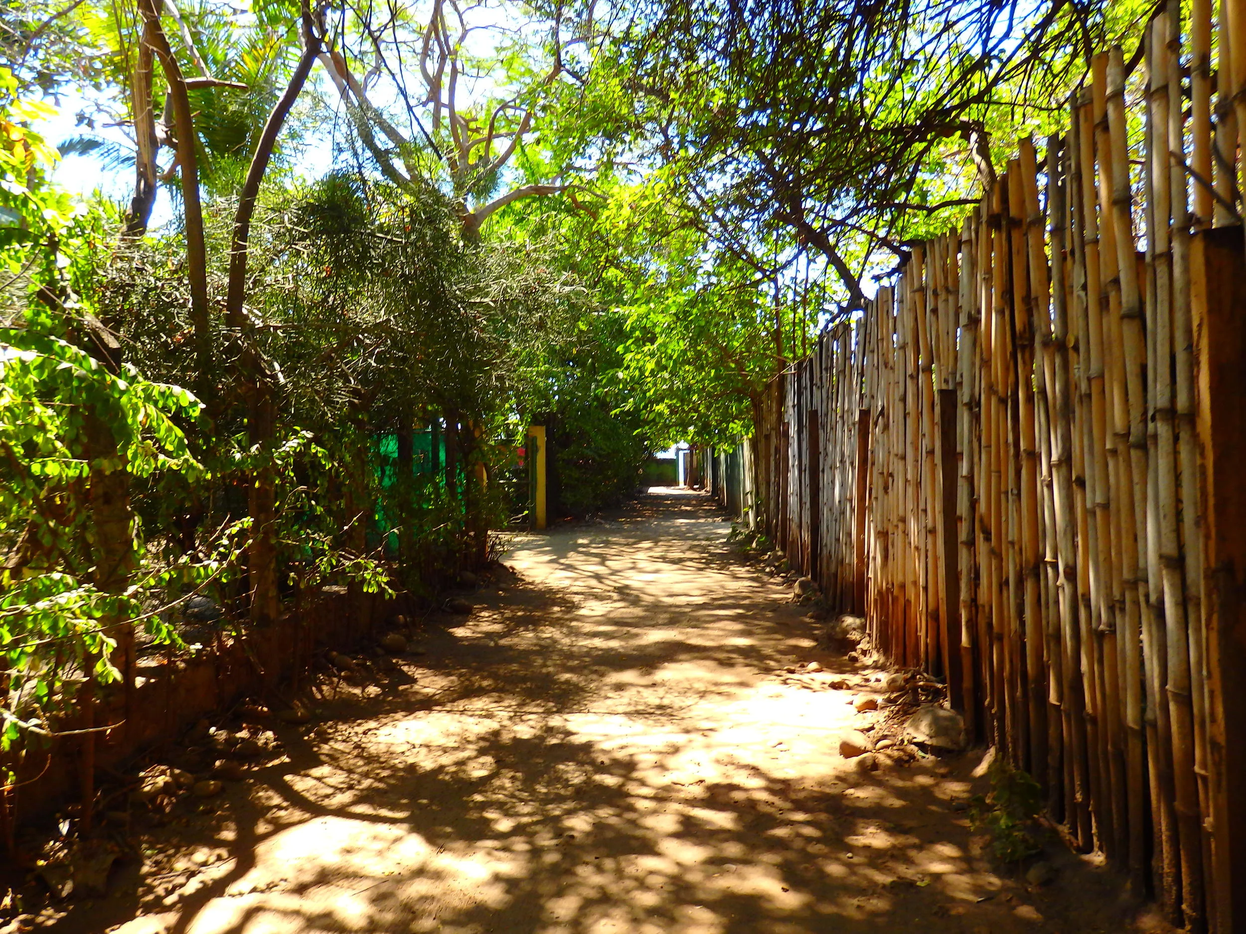  Our little lane down to the beach. El Salvador 