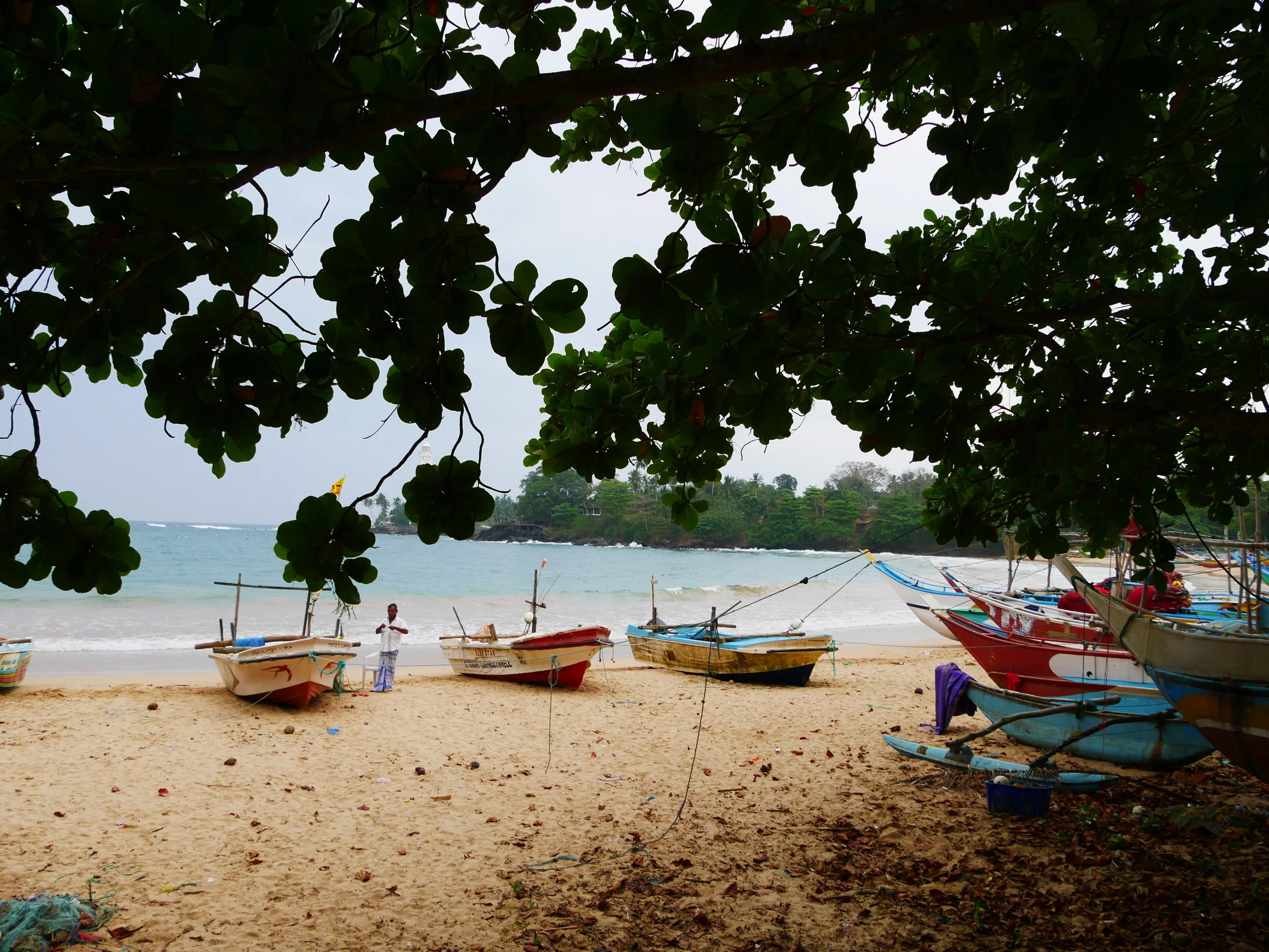 P1000071.JPG