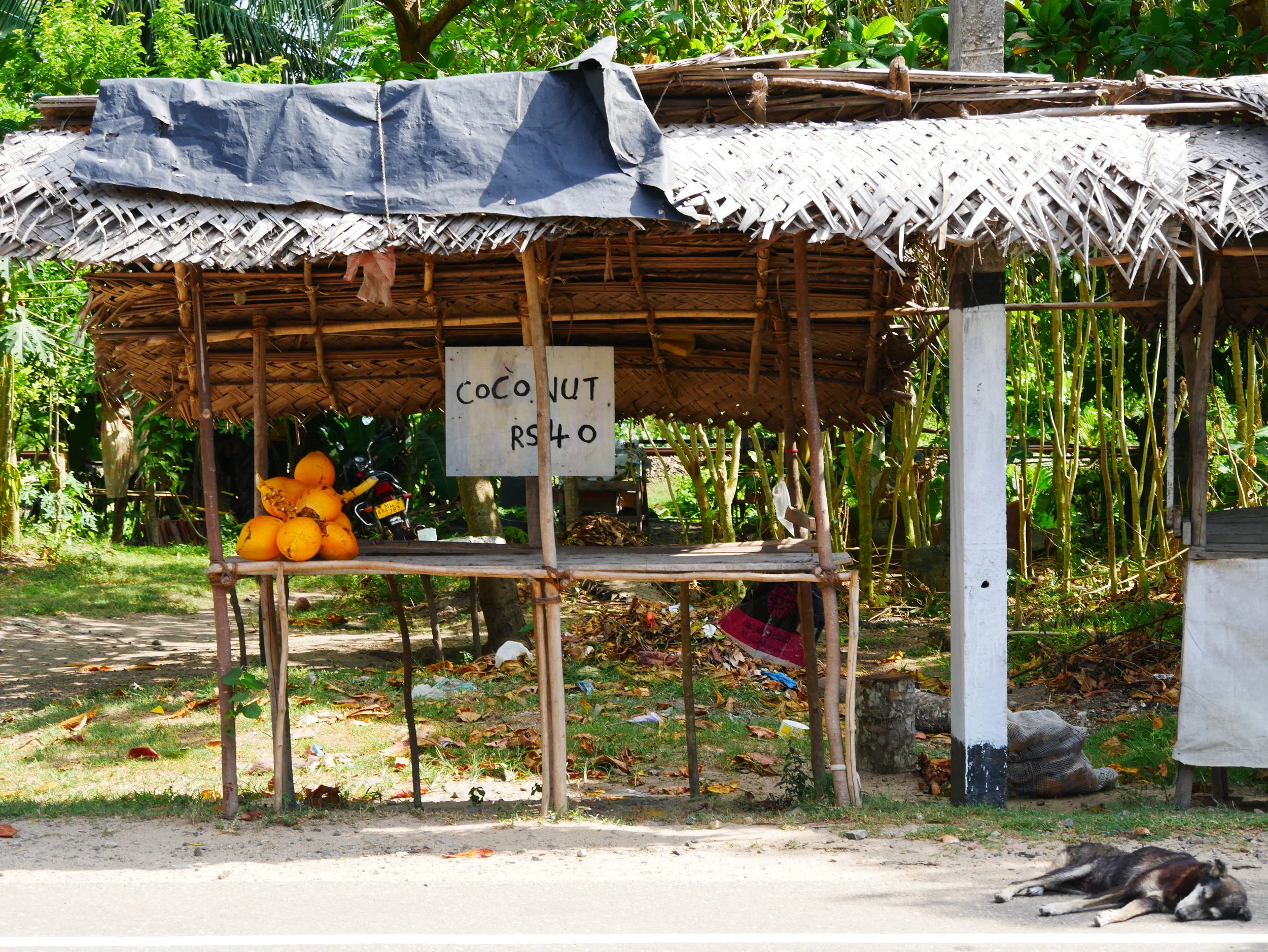 P1000220.JPG