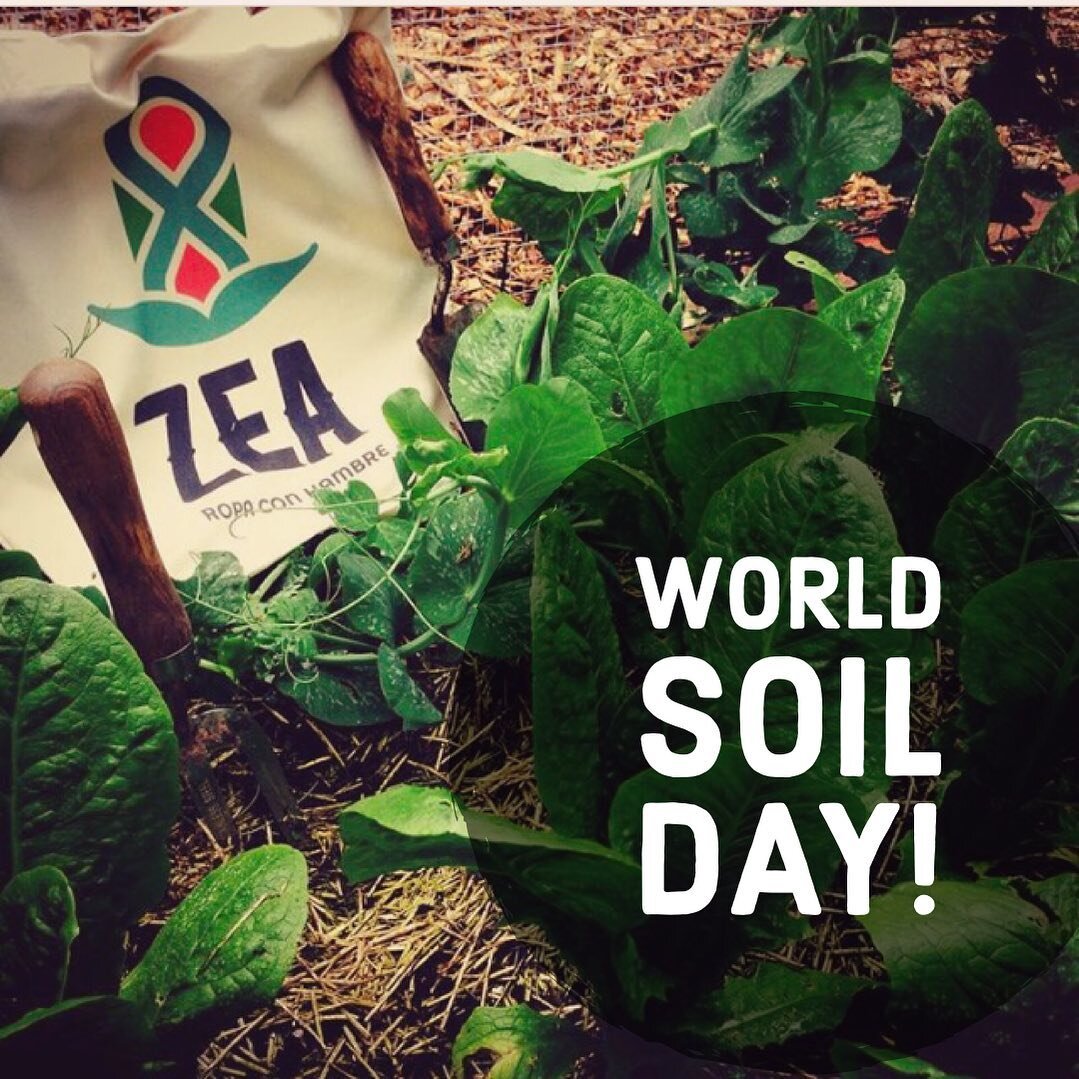 Saturday 5 of December.  HAPPY #WORLDSOILDAY !!!

&ldquo;It is estimated that only 1% of soil microorganism species are currently known compared to 80% of plant species&rdquo; 🤯🤯🤯

Keep soil alive, Protect soil biodiversity. 

This is why ZEA exis