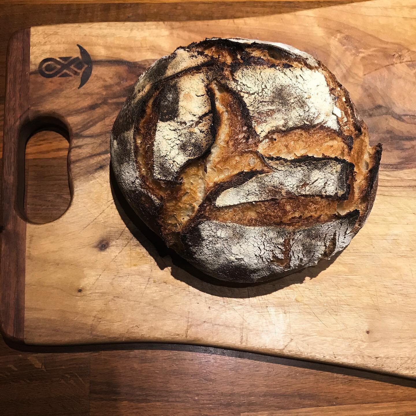 Late evening pleasures. 
Fertile soil and freshly baked sourdough bread share so many things in common.  Including how beautiful they smell! 

#SowTheChange #BakeTheChange #MakeSoilNotWar #MakeBreadNotWar #sourdough #sourdoughbread #sourdoughpleasure