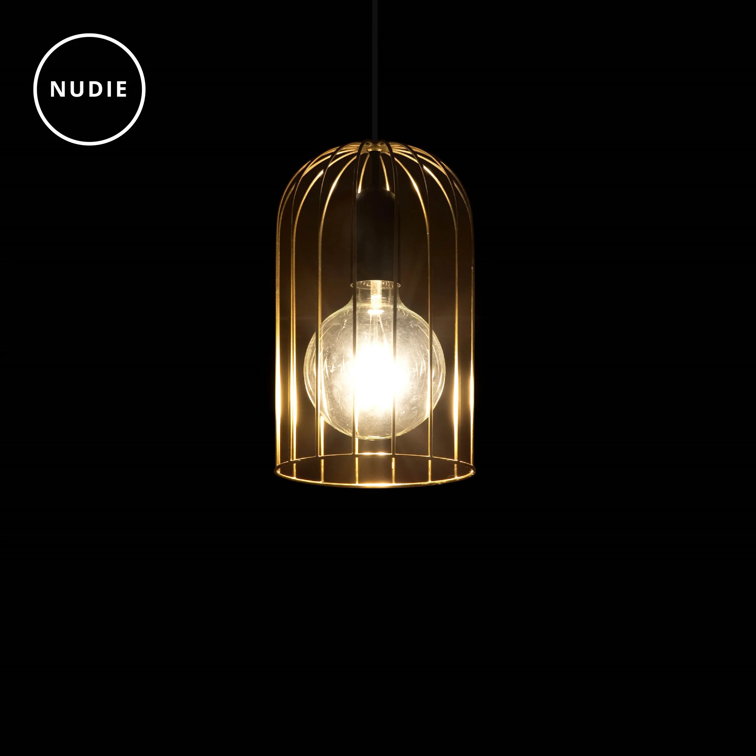 ISM_Objects_Nudie Slim_Pendant-01.jpg