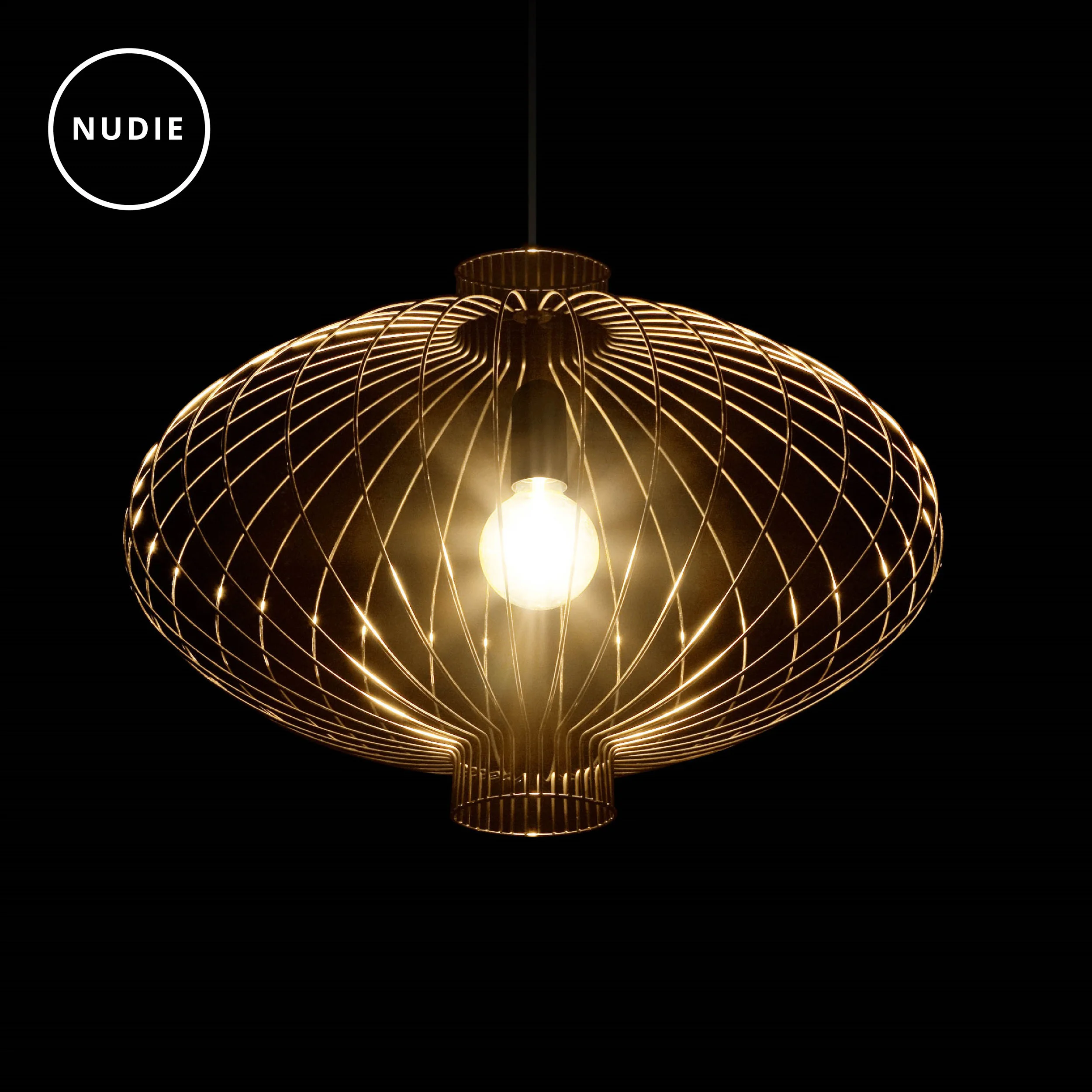 ISM_Objects_Nudie_Large_Pendant-01-01.jpg