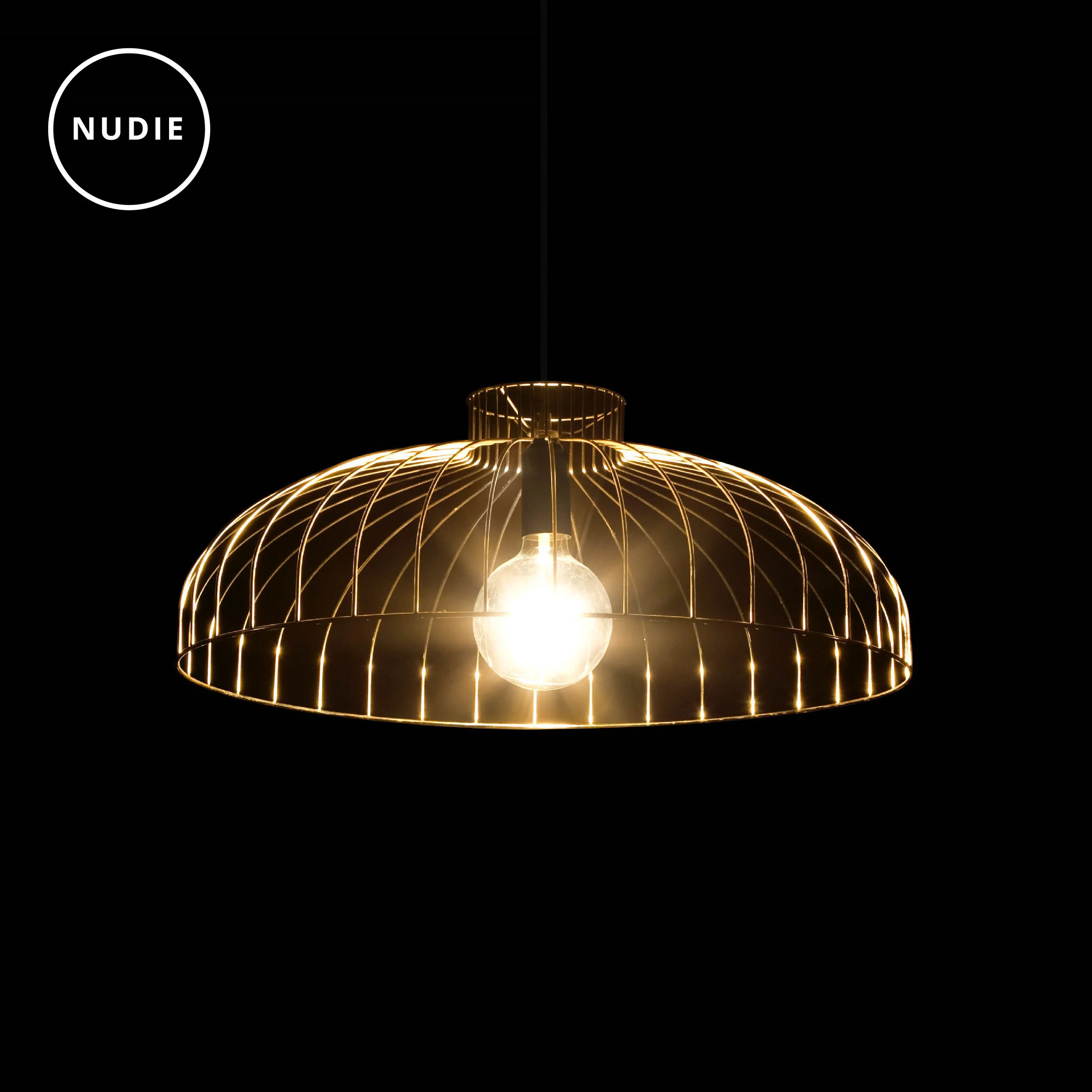 ISM_Objects_Nudie_Large Half_Pendant-01.jpg